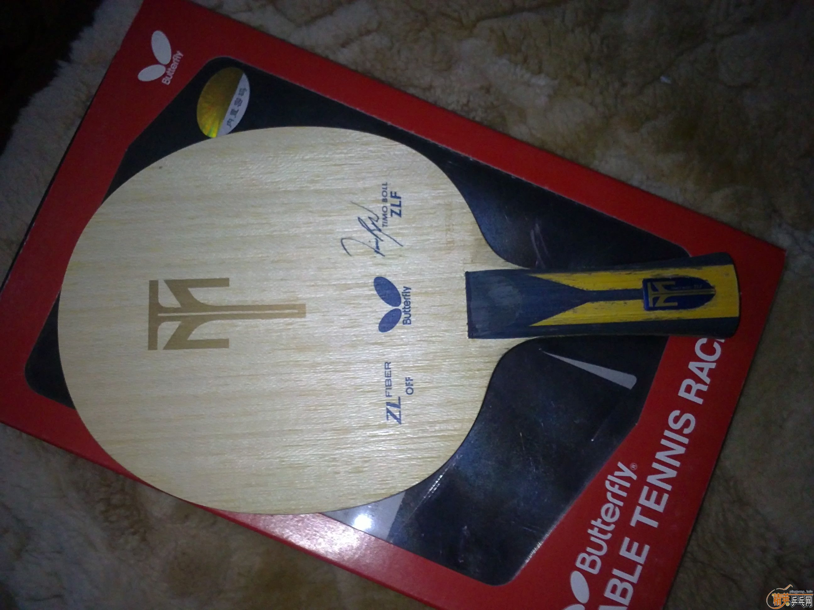 ��95�� ����ZLF