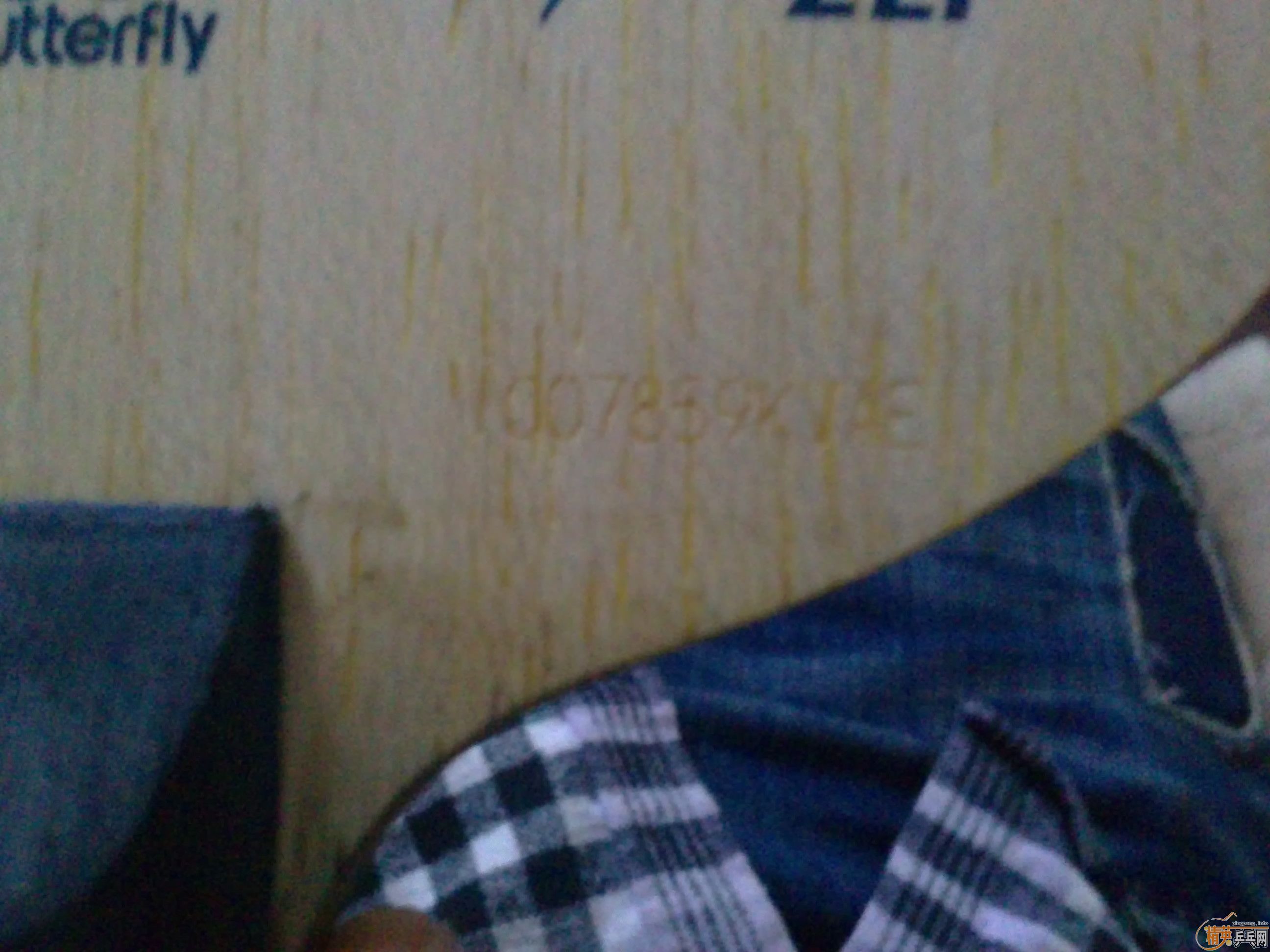 ��95�� ����ZLF