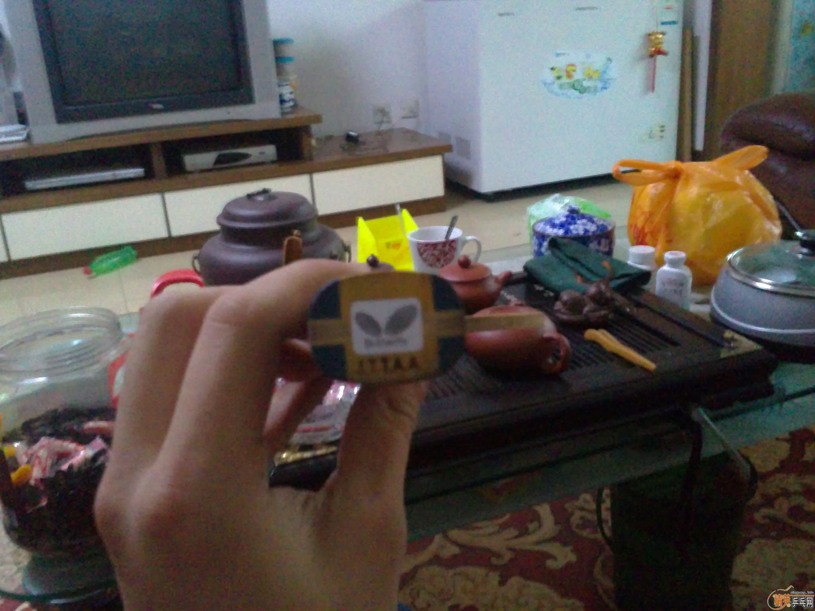 ��95�� ����ZLF