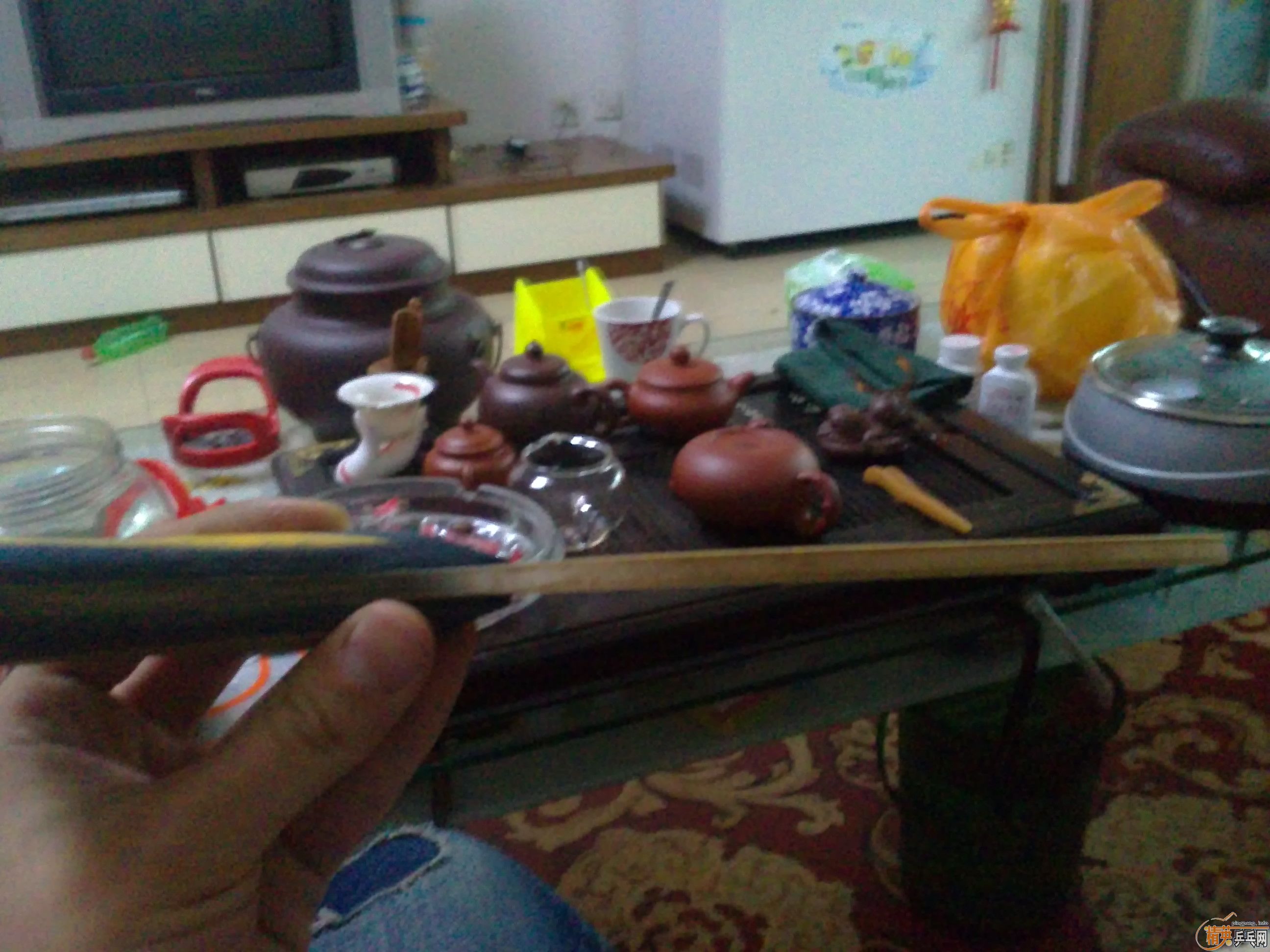 ��95�� ����ZLF