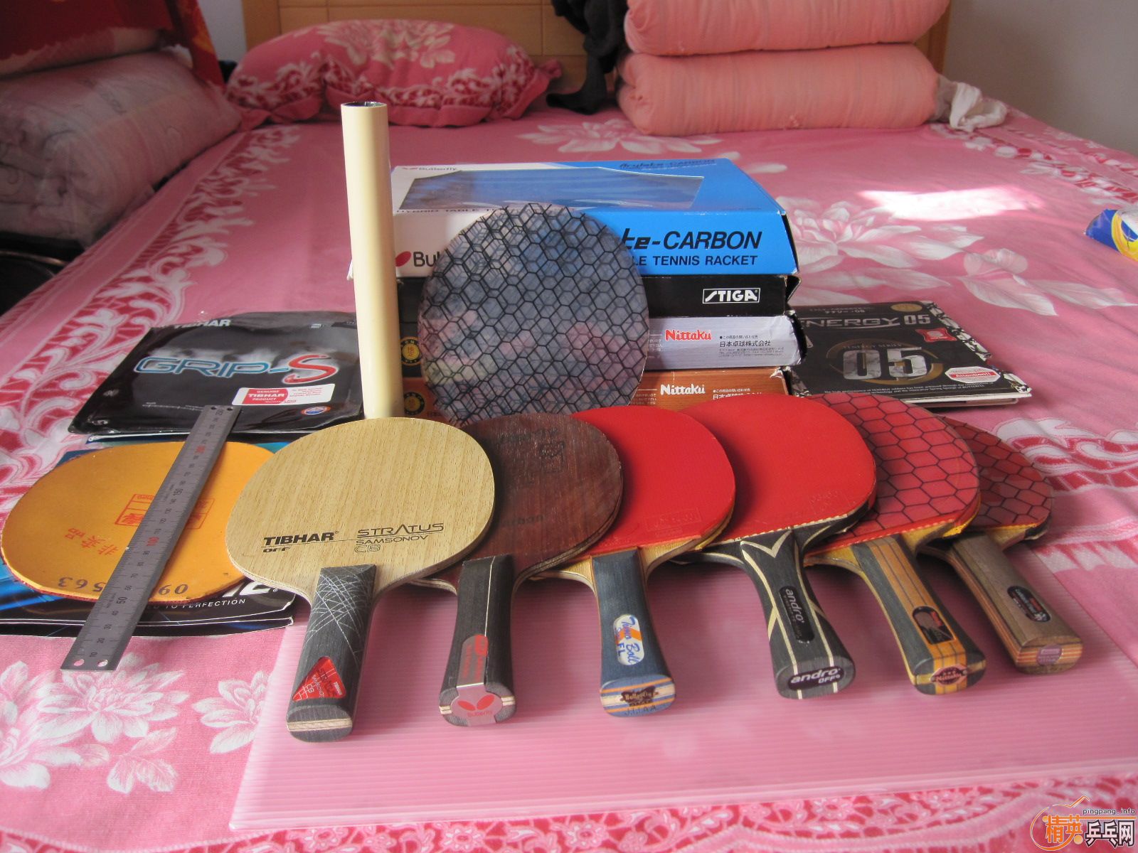 ���������������������ա�����������������