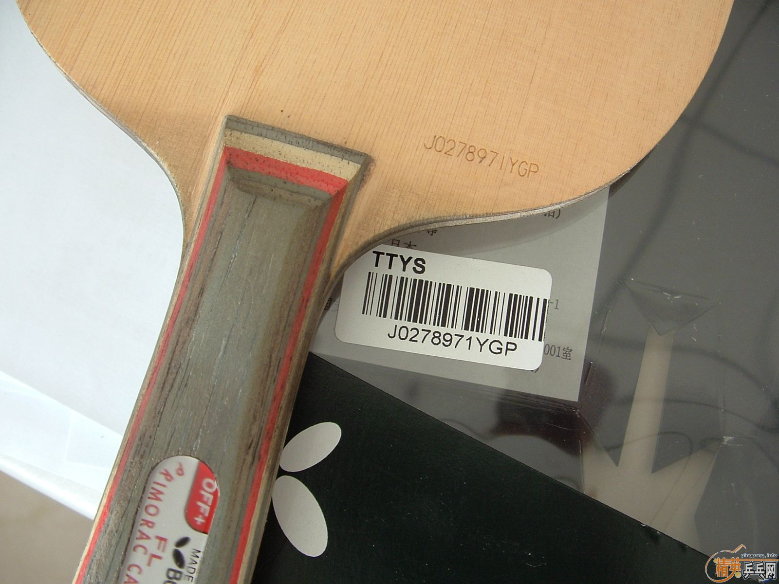 �����������̼300�����