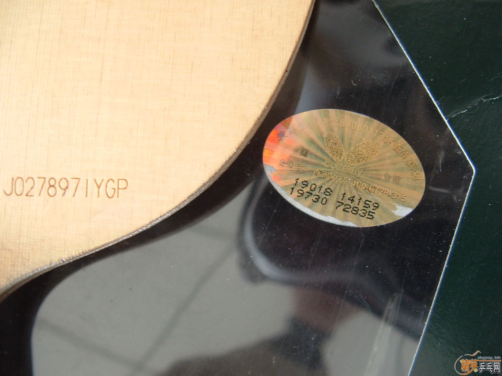 ����������̼ 300����