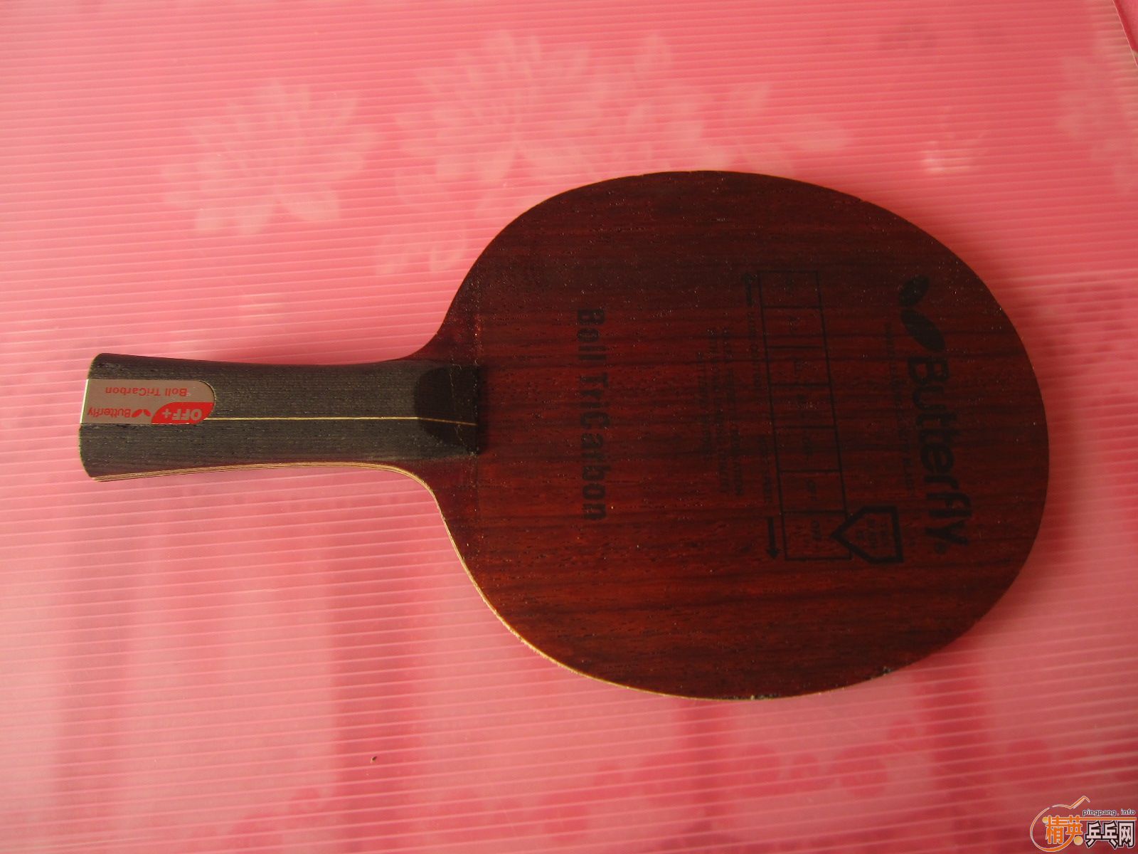 ���������������������ա�����������������