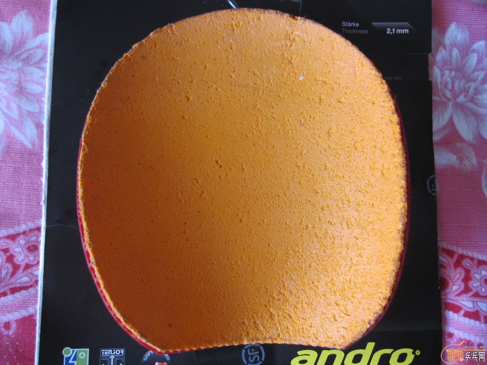 ���������������������ա�����������������