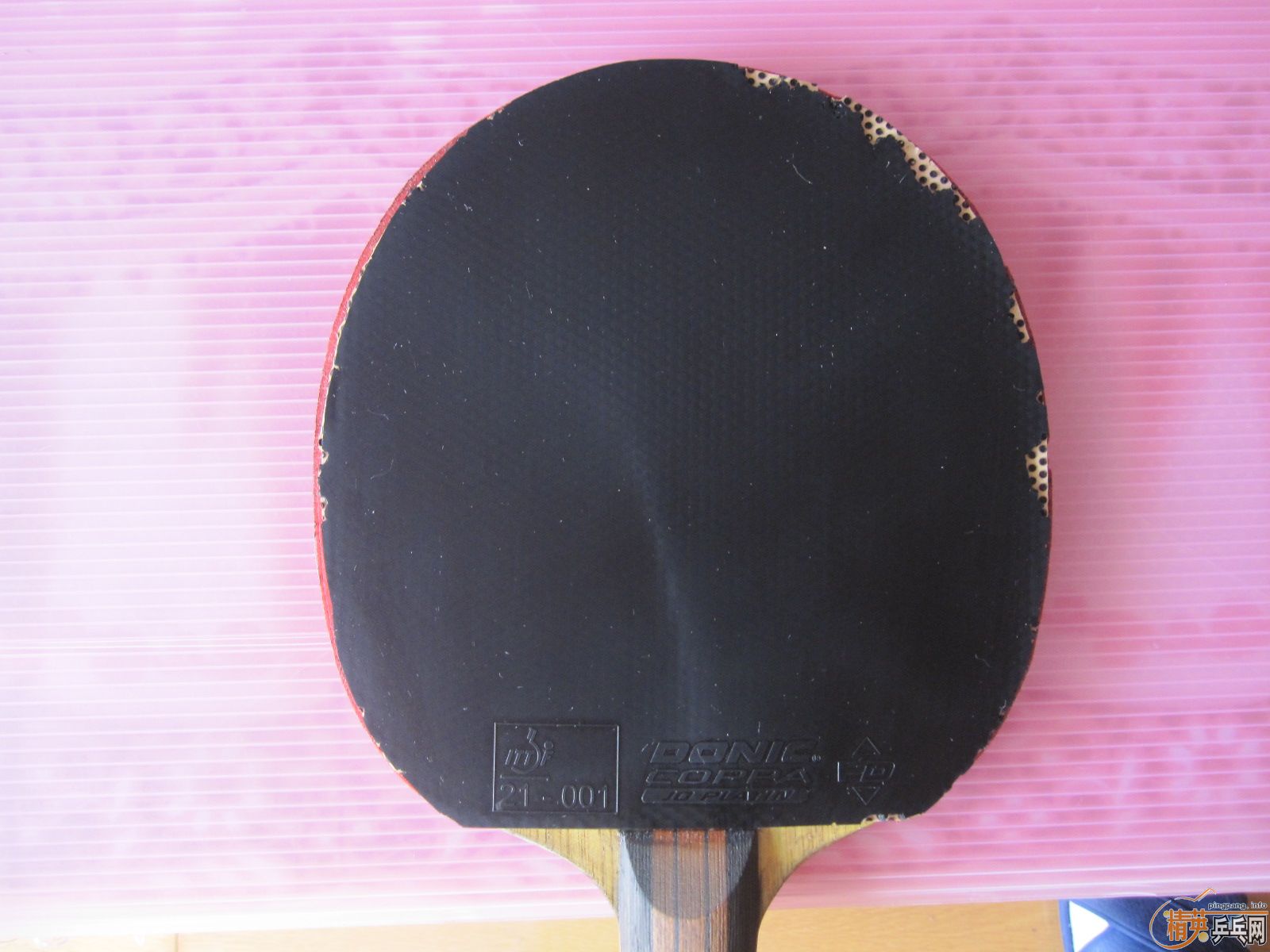 @@@@@@@@@@@@���������ա�����@@@@@@@@@@@@@@