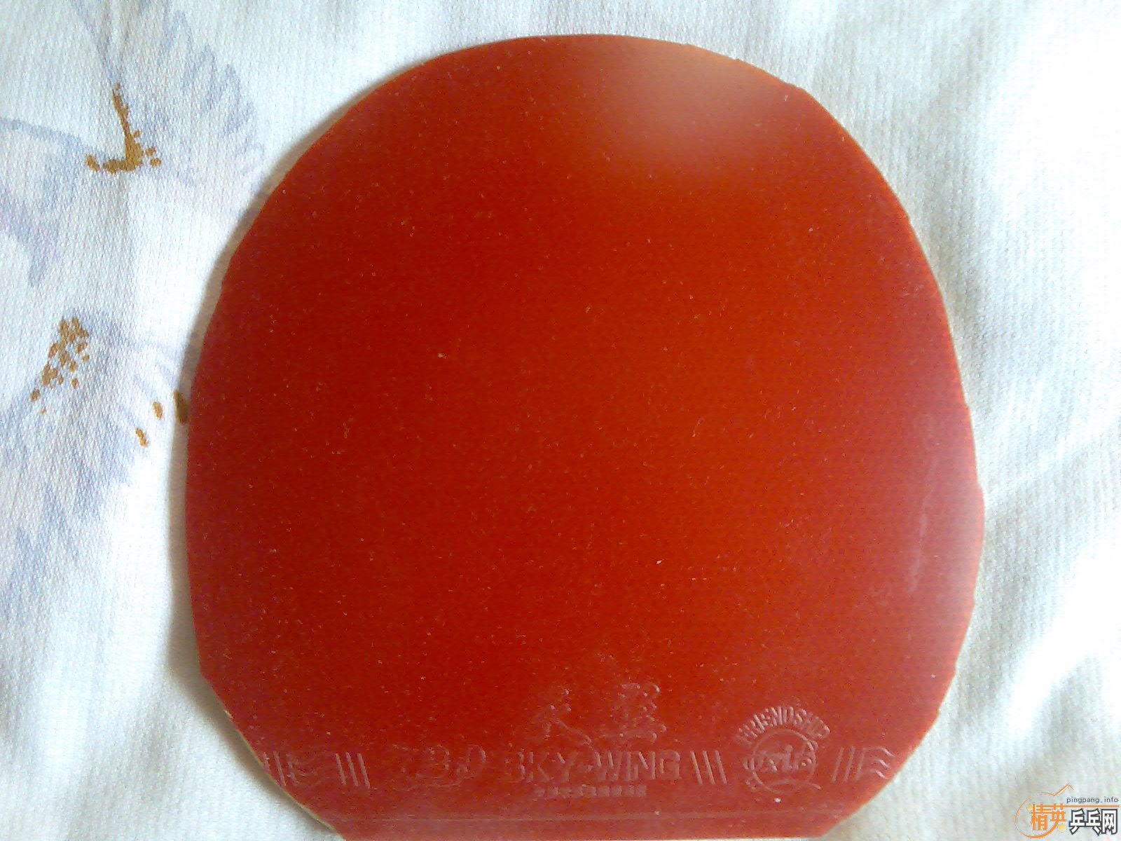 �׽�������˳���  9��200����