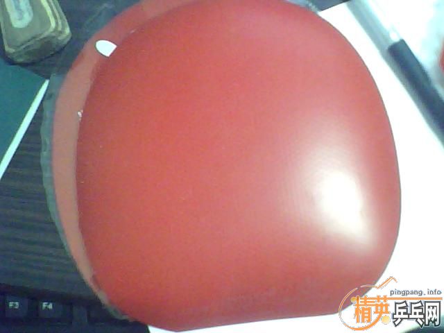 �Ʊ��� ������    ����