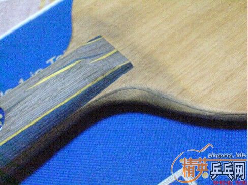 ����Ӣ��������°��л�YSC ����̼ �޿��� ����