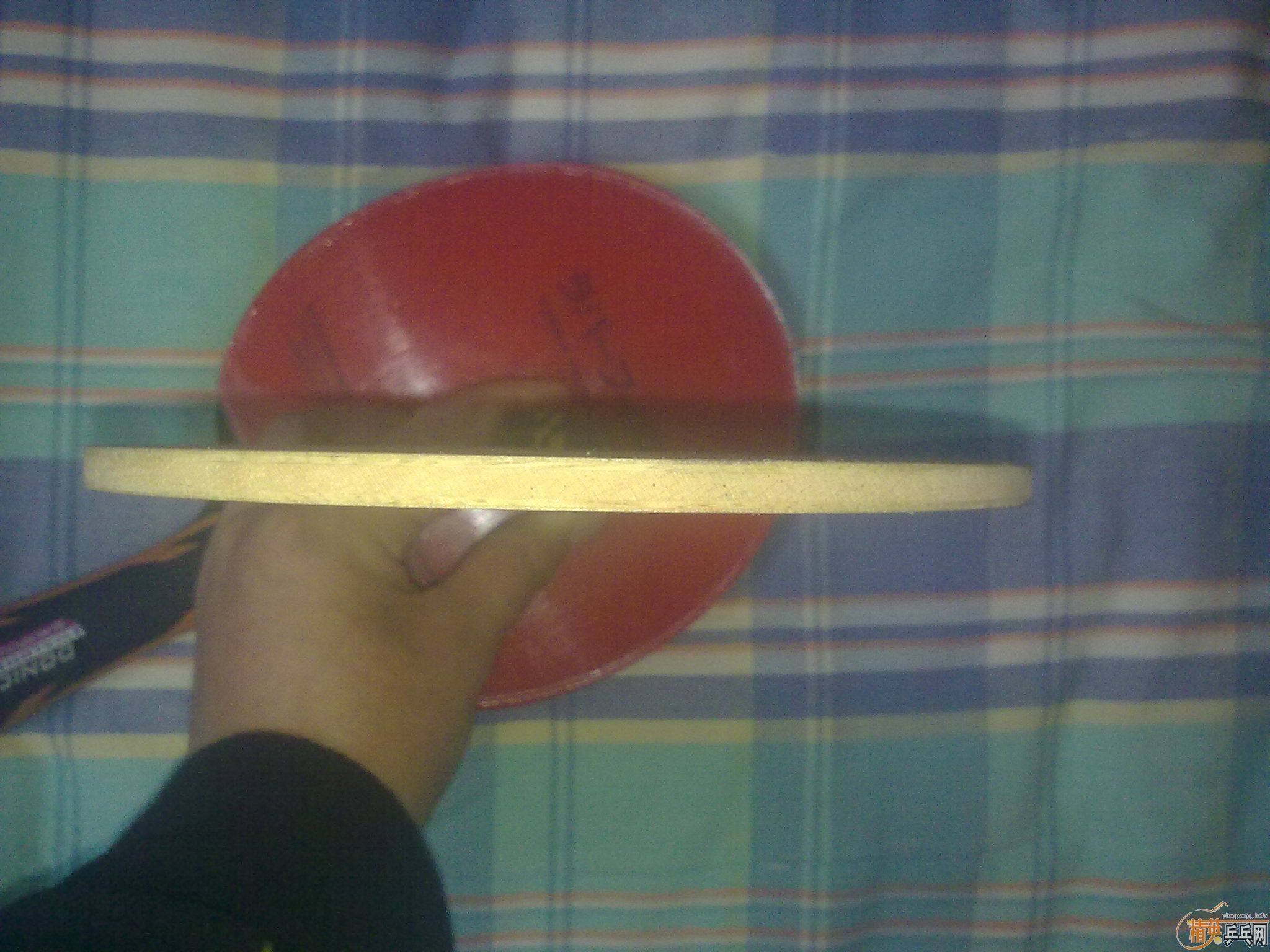 ӭ�´���������ˣ������װ�