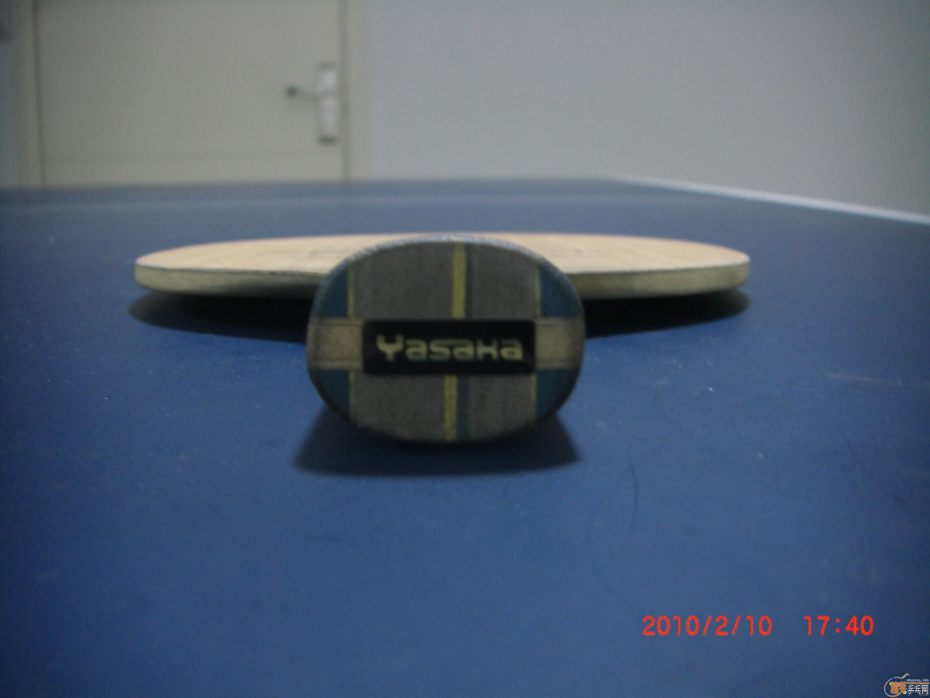 ����Ӣ��������°��л�YSC ����̼ �޿��� ����