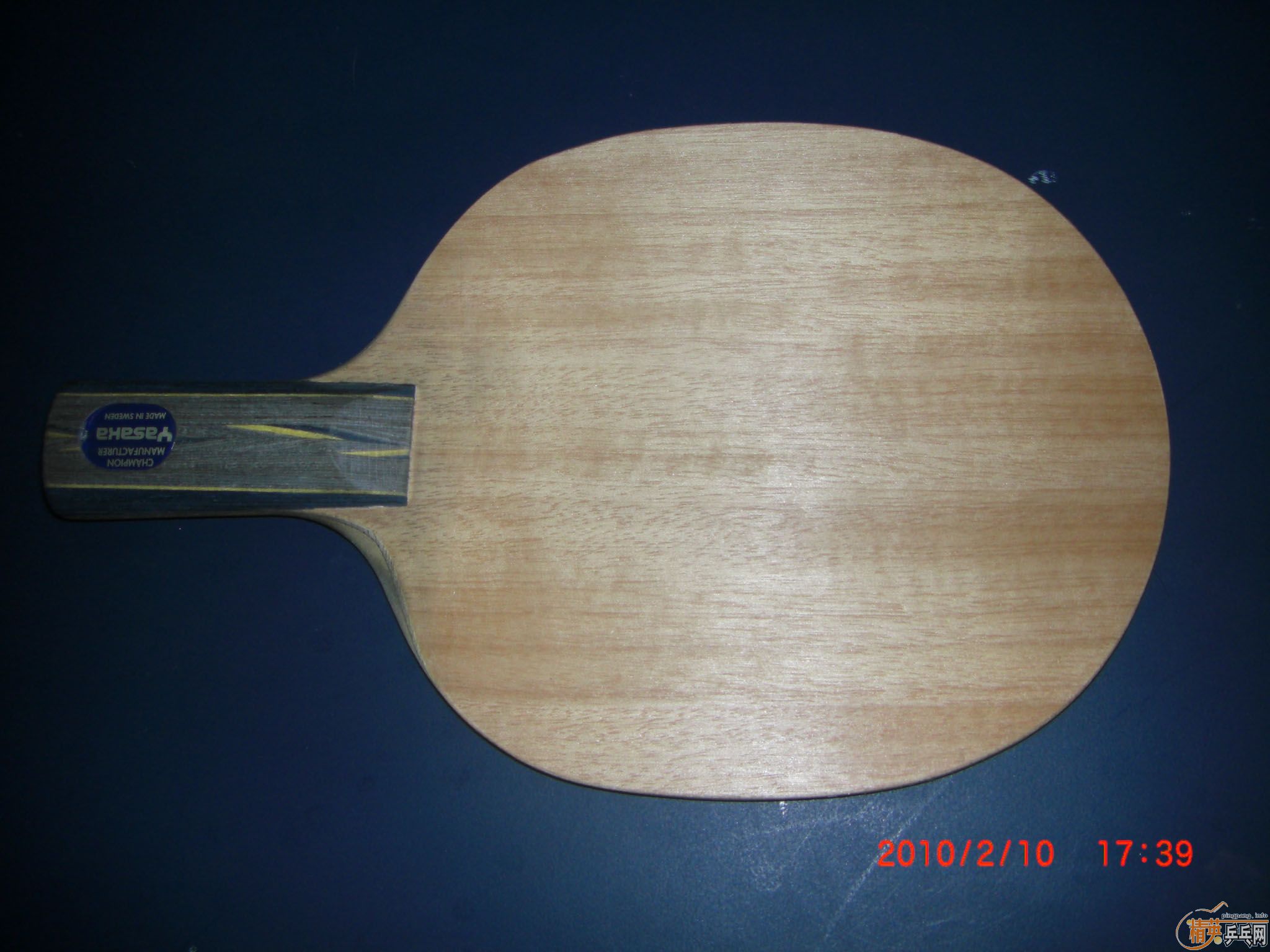 ����Ӣ��������°��л�YSC ����̼ �޿��� ����