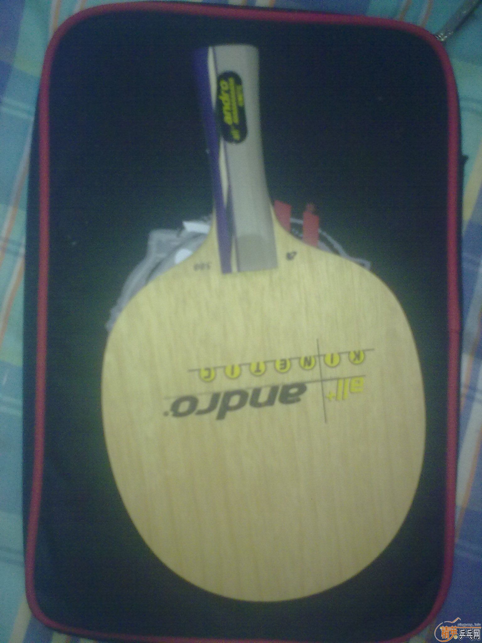 ӭ�´���������ˣ������װ�