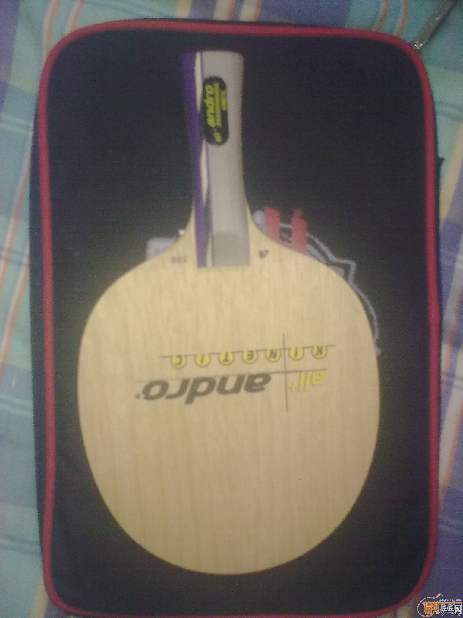 ӭ�´���������ˣ������װ�