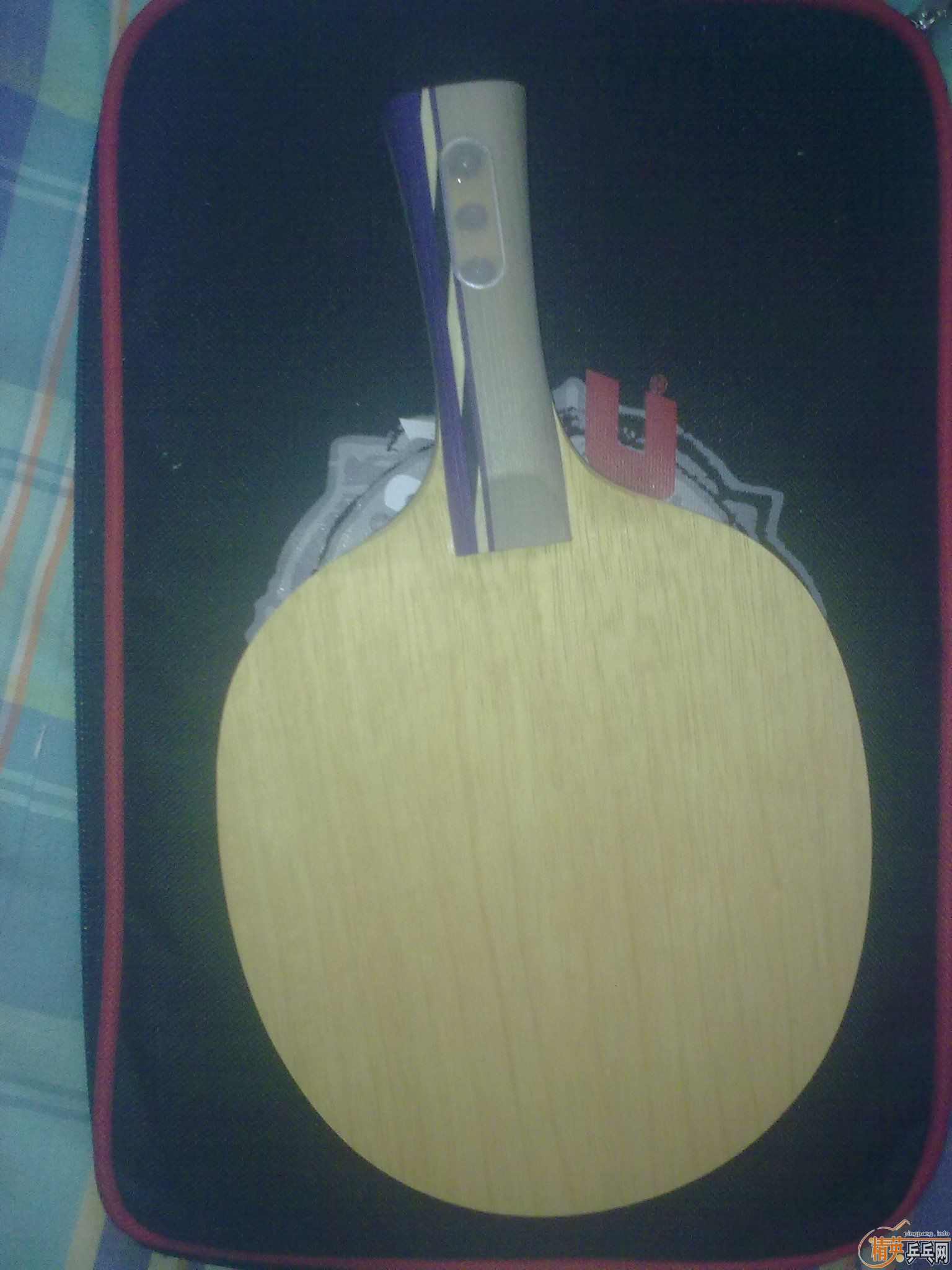 ӭ�´���������ˣ������װ�