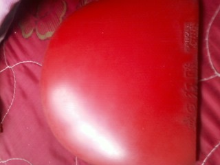 2.15��ɫʡ��40�Ȼ�F1���Ͳ����