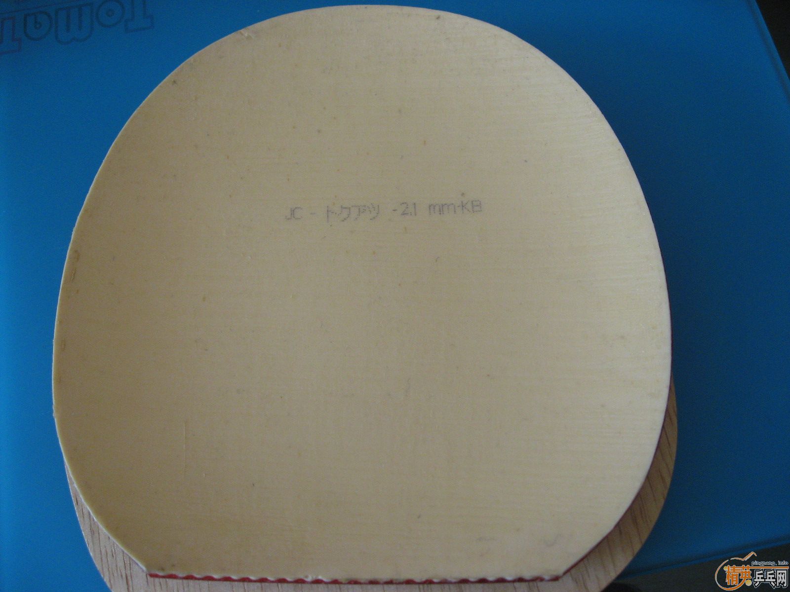 99�³������Bryce-FX��ɫ2.1