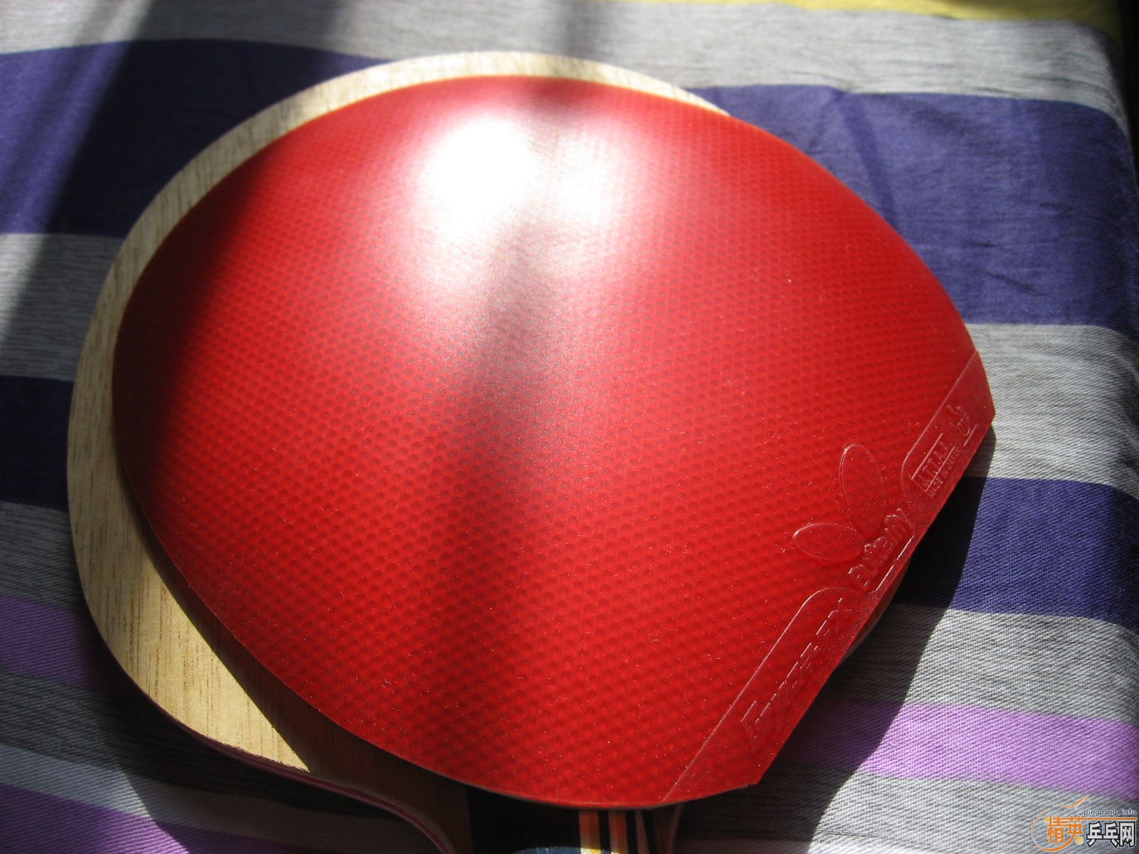 99�³������Bryce-FX��ɫ2.1