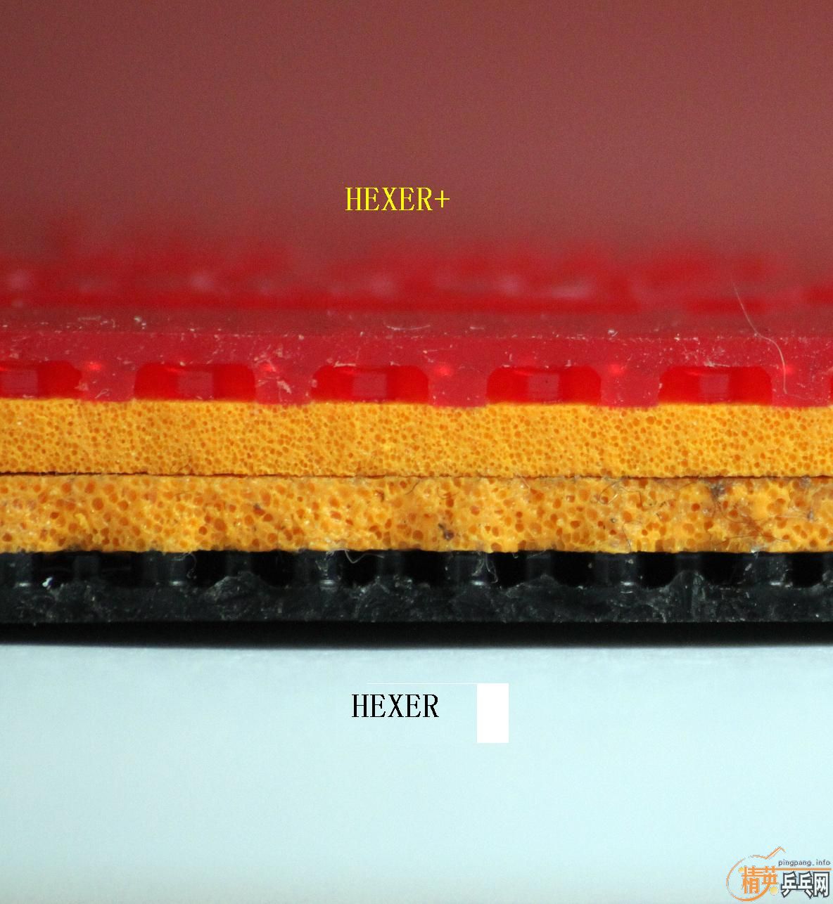 [ת]ANDRO 2010 HEXERHEXER+