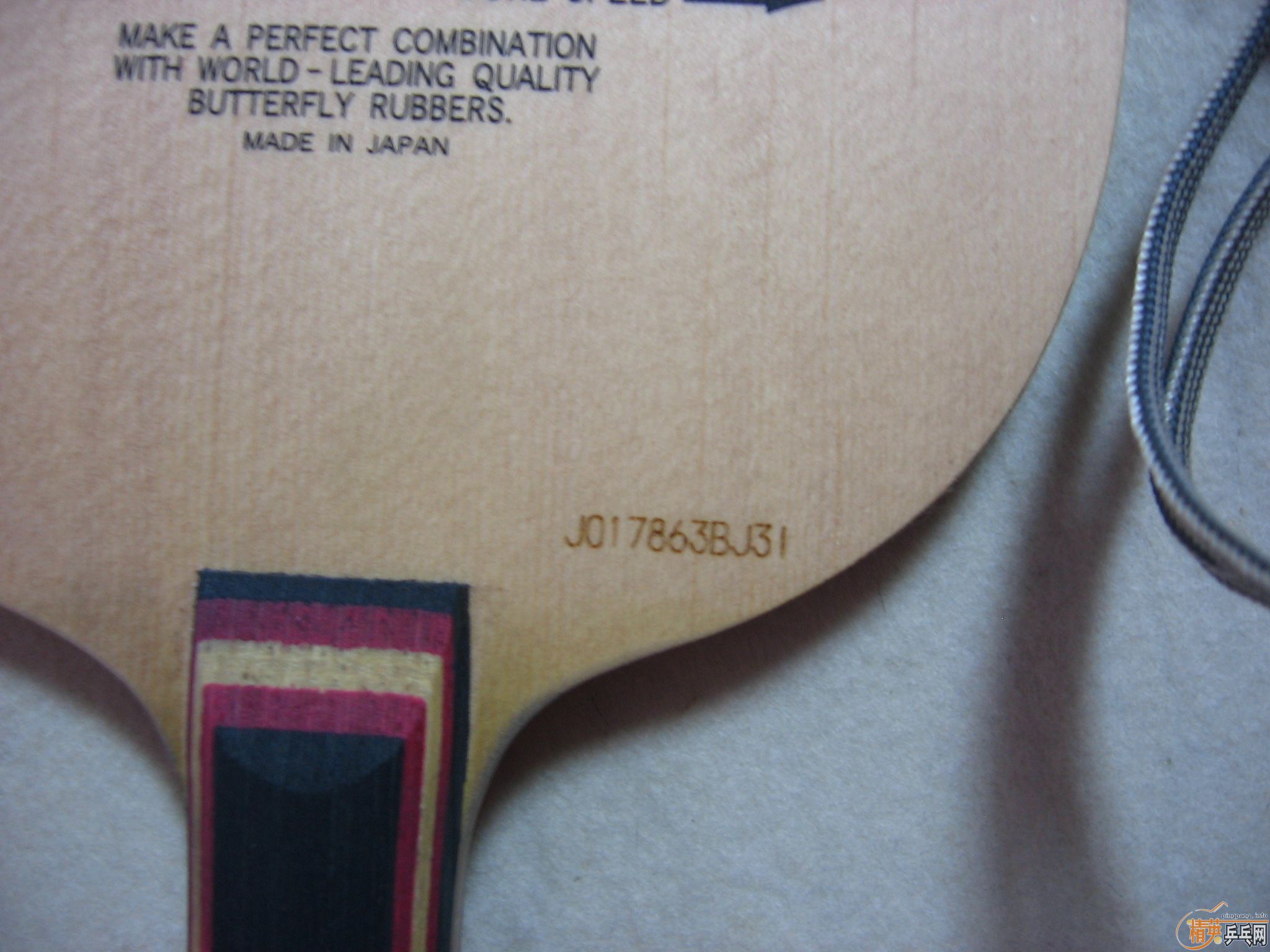 ������ɱ ʩ̼ �ȵ��ȵã���     ��֧����