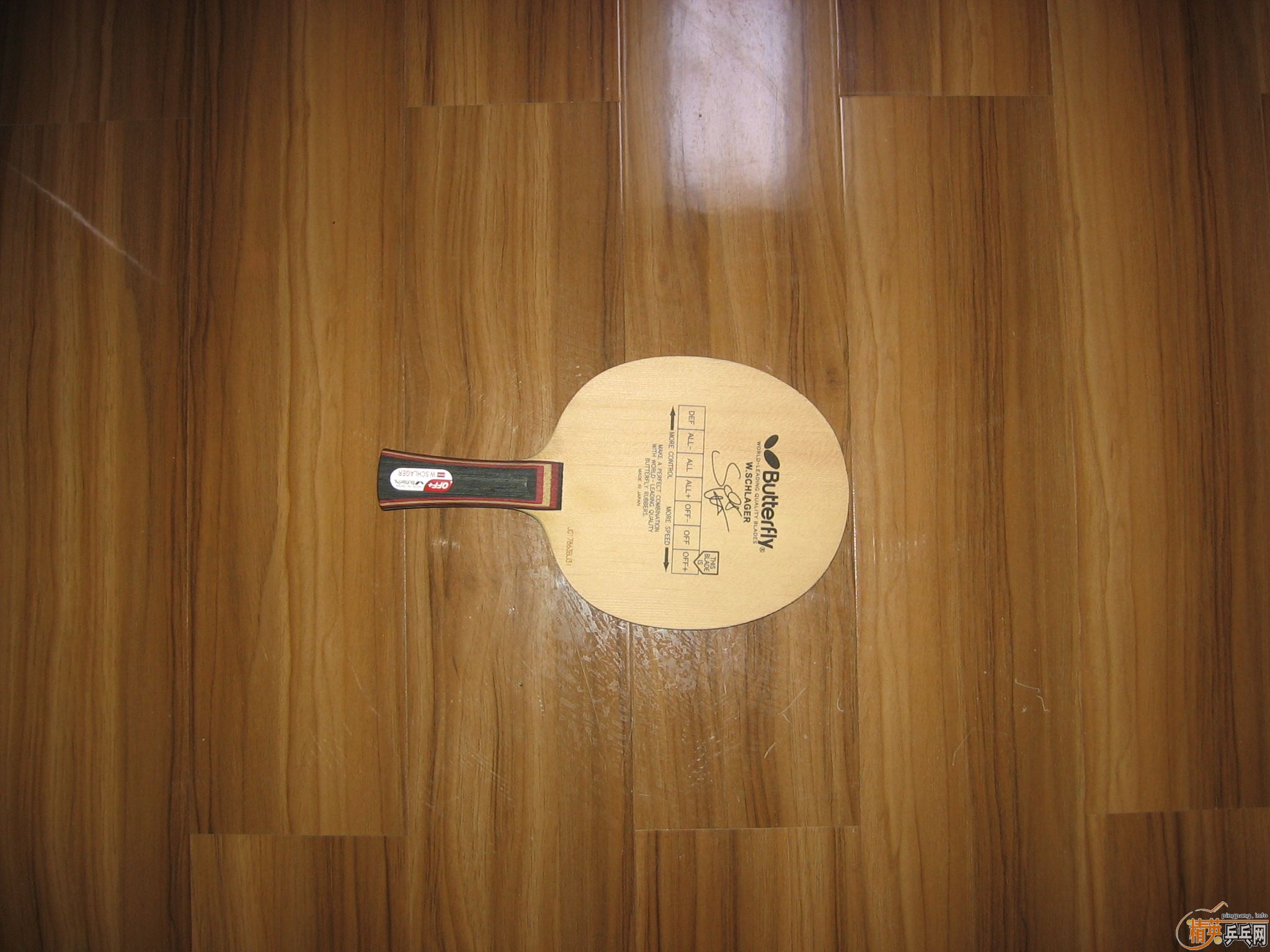 ������ɱ ʩ̼ �ȵ��ȵã���     ��֧����