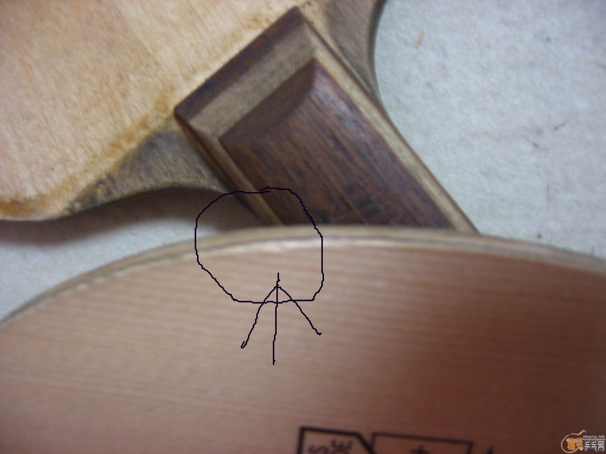 ������ɱ ʩ̼ �ȵ��ȵã���     ��֧����