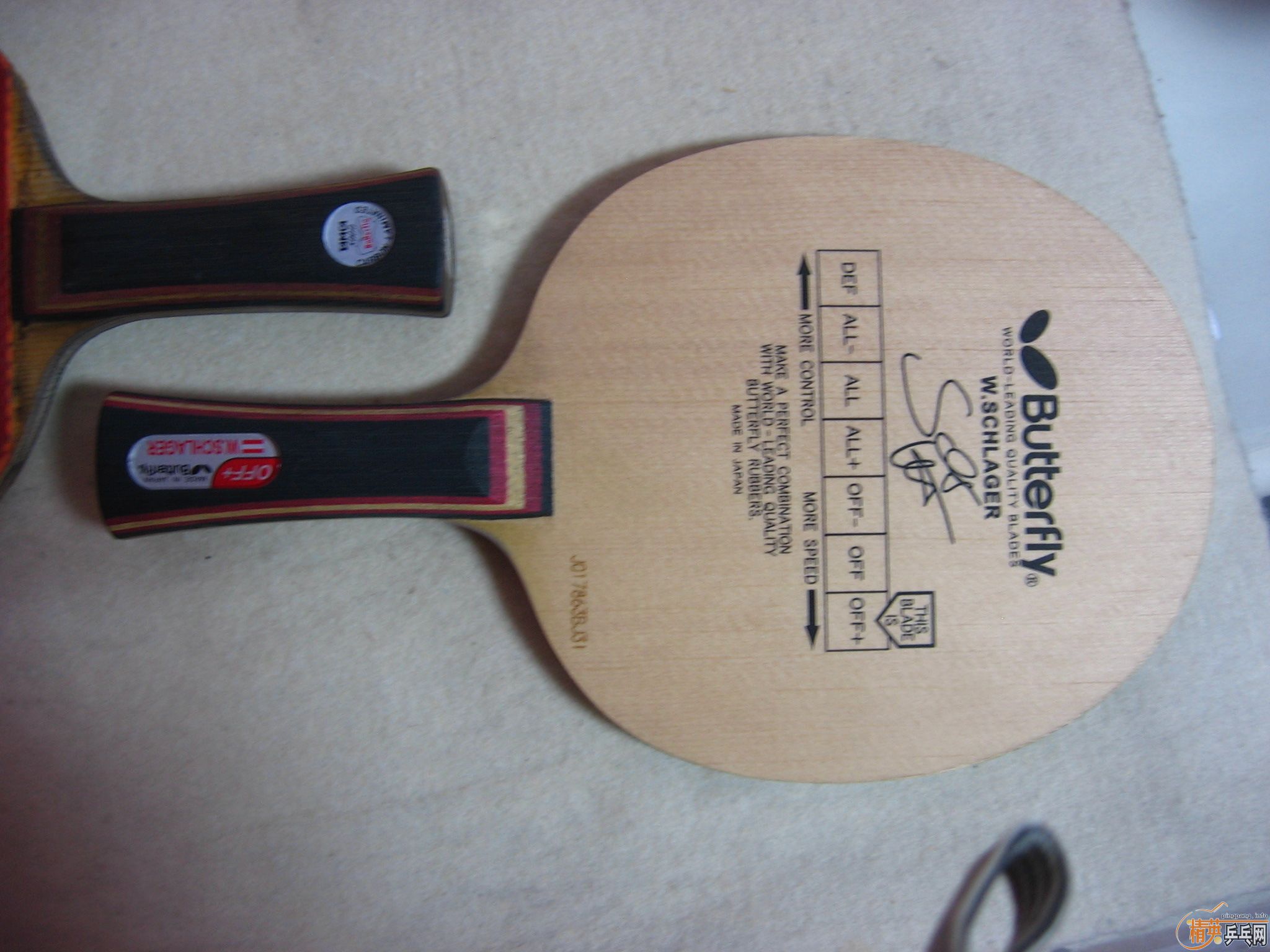 ������ɱ ʩ̼ �ȵ��ȵã���     ��֧����