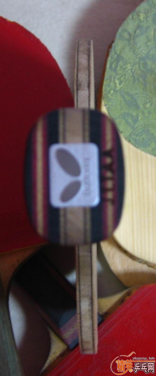 ������ɱ ʩ̼ �ȵ��ȵã���     ��֧����