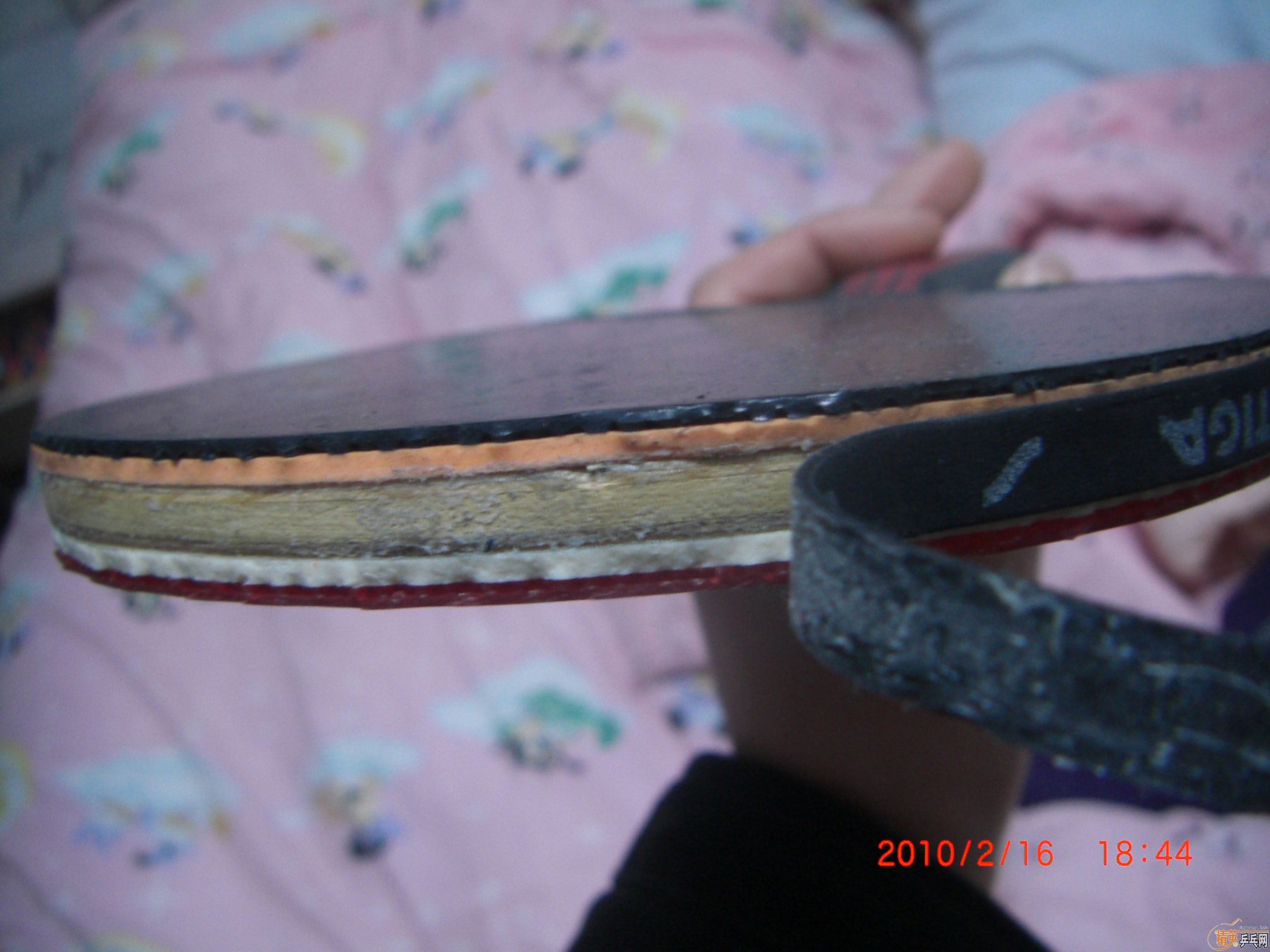 SWORD���ƴ�ľ ������ 210���� ֧����