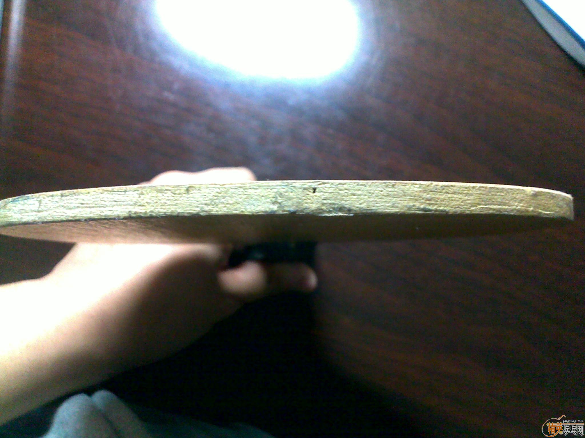 ת��81g 95���հ�YE