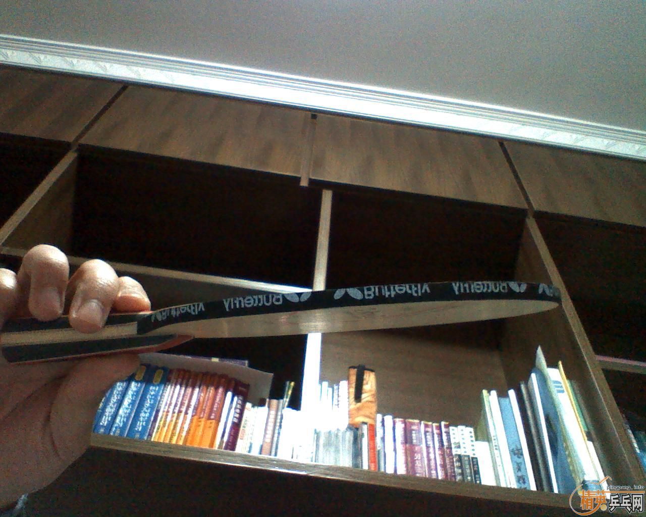 �հ����������E3(����ͼ)