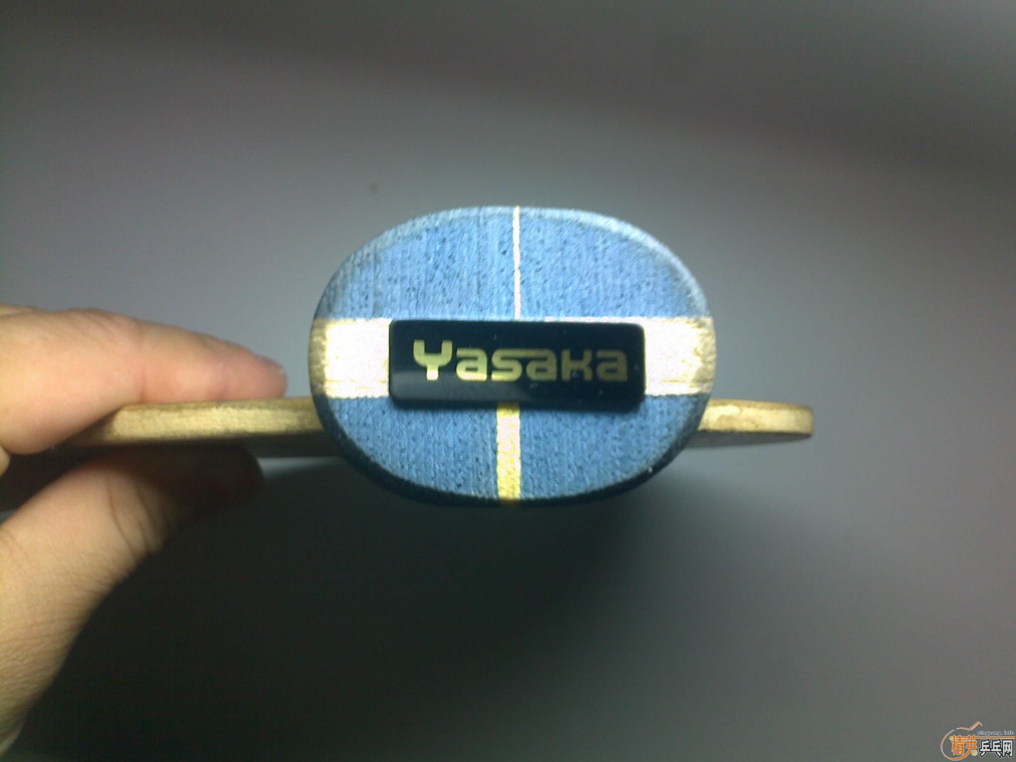 ת��81g 95���հ�YE