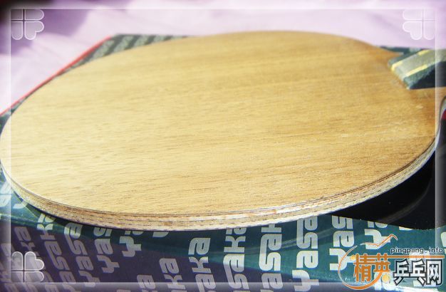 ����ɳ��17.���𩡣