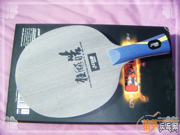 ����ɳ��17.���𩡣