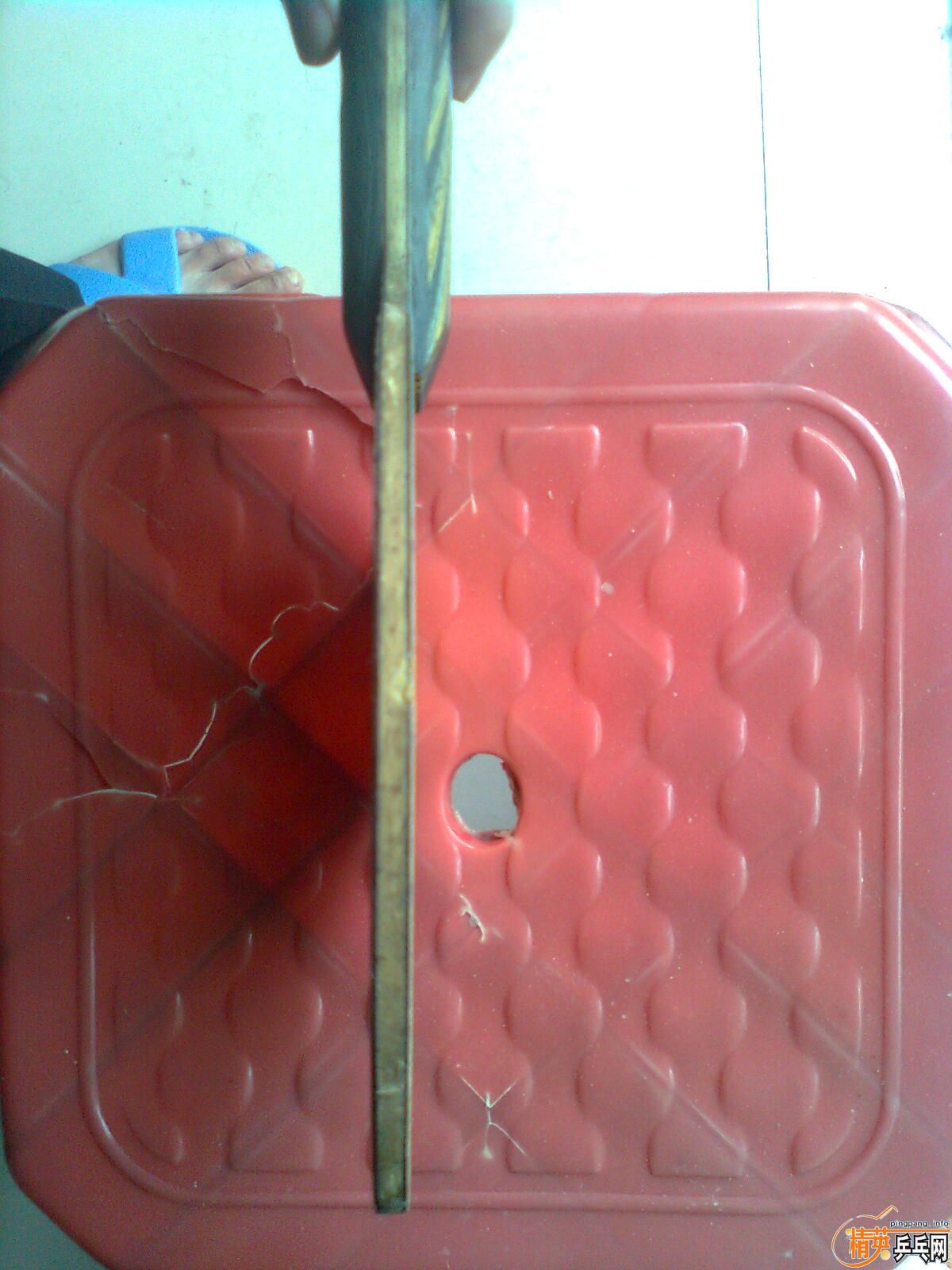 eg��NEO���2���տ�3��135Ԫȫ����