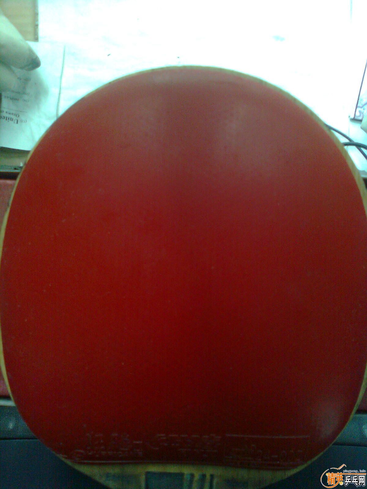 eg��NEO���2���տ�3��135Ԫȫ����