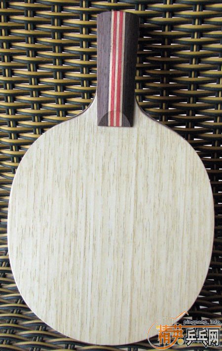 ת��81g 95���հ�YE