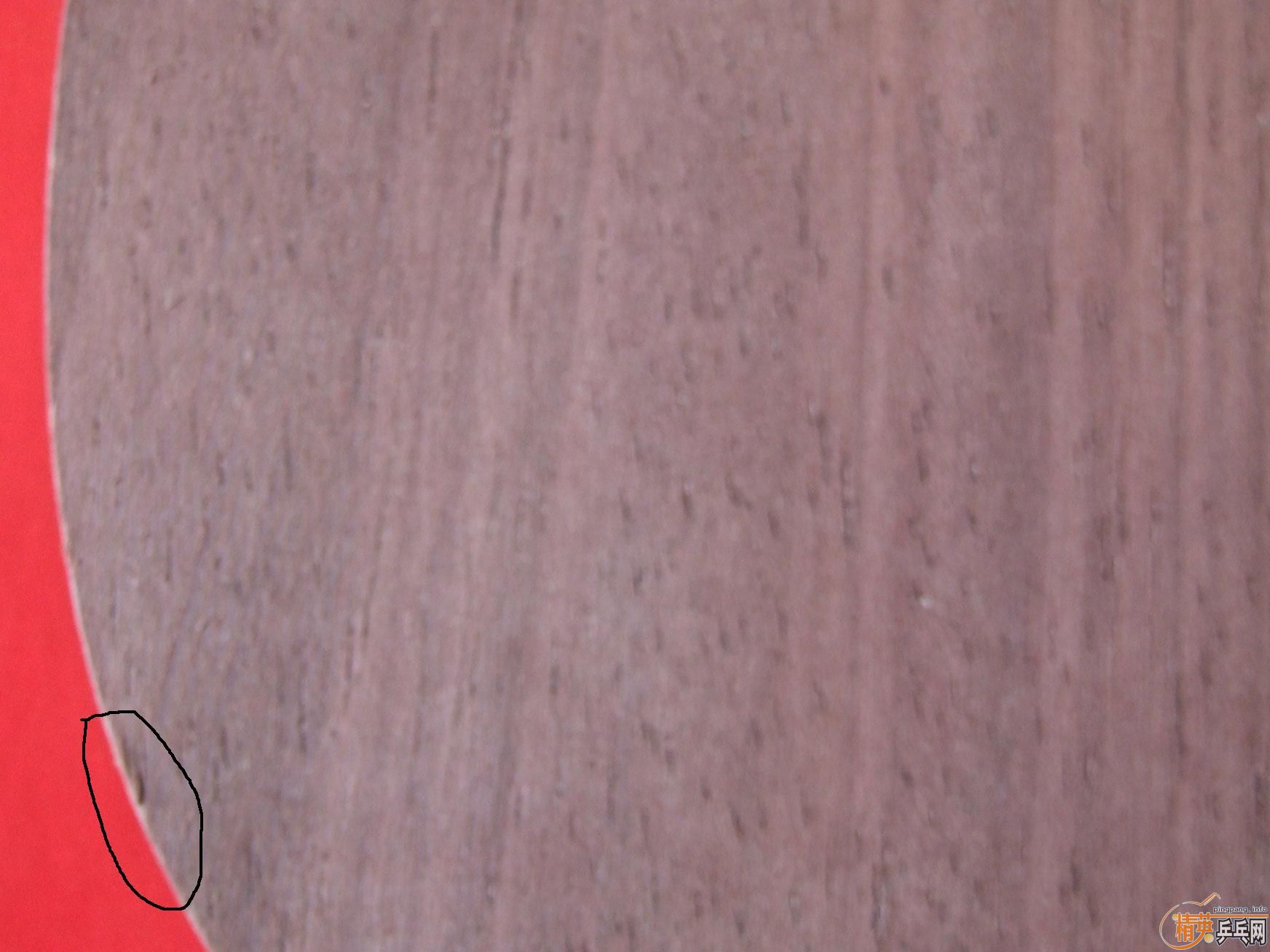 ������ذ廻����vis��������̼��������ʵ���������