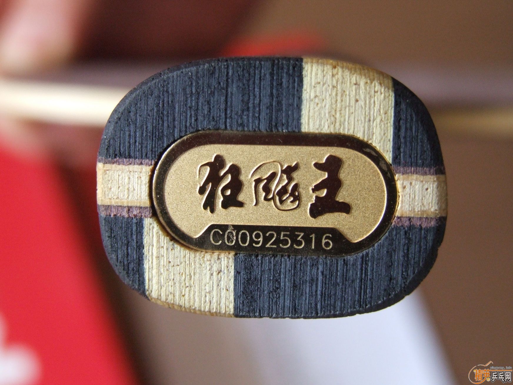 ������ذ廻����vis��������̼��������ʵ���������