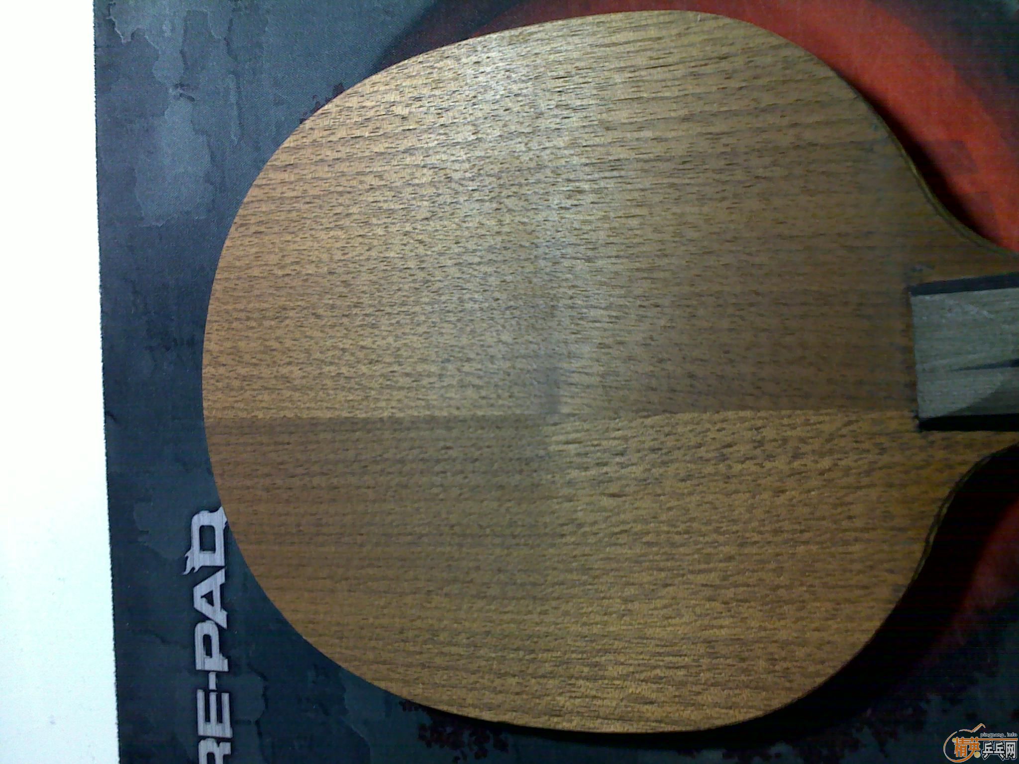 ��������YEO