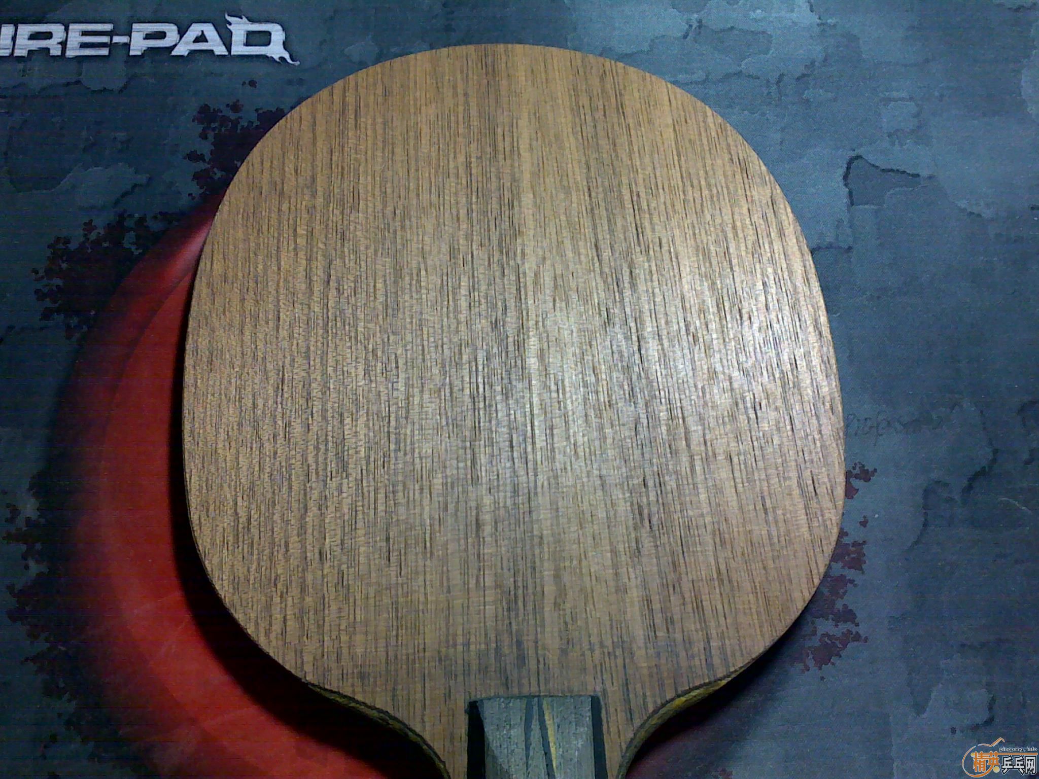 ��������YEO