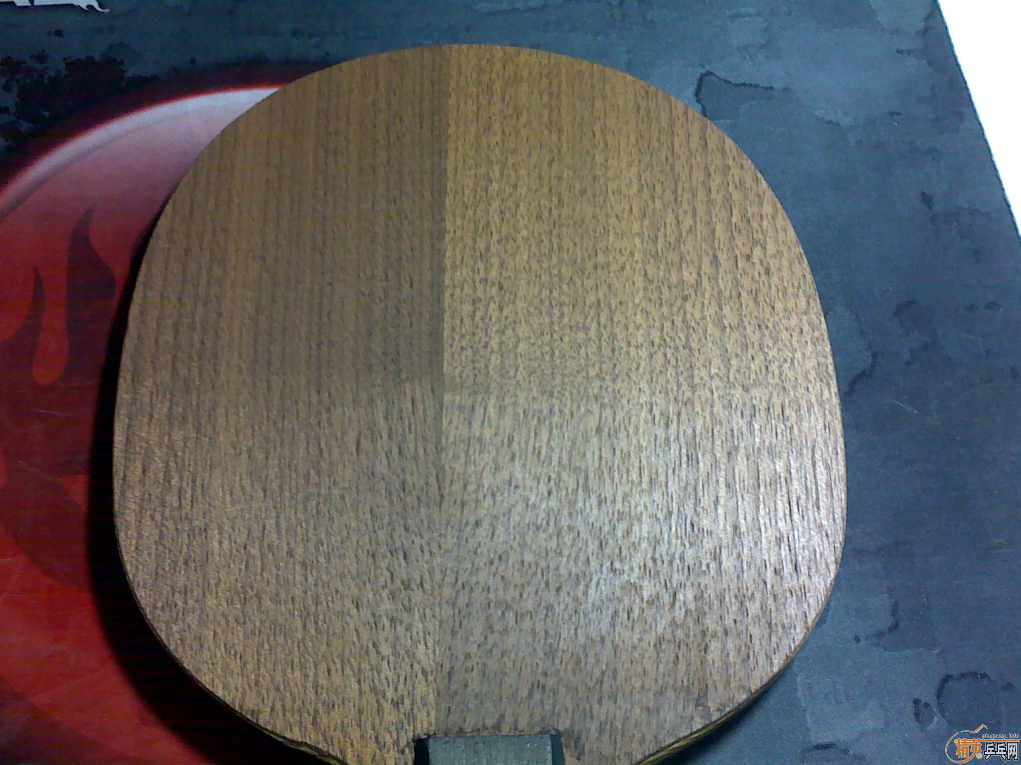 ��������YEO