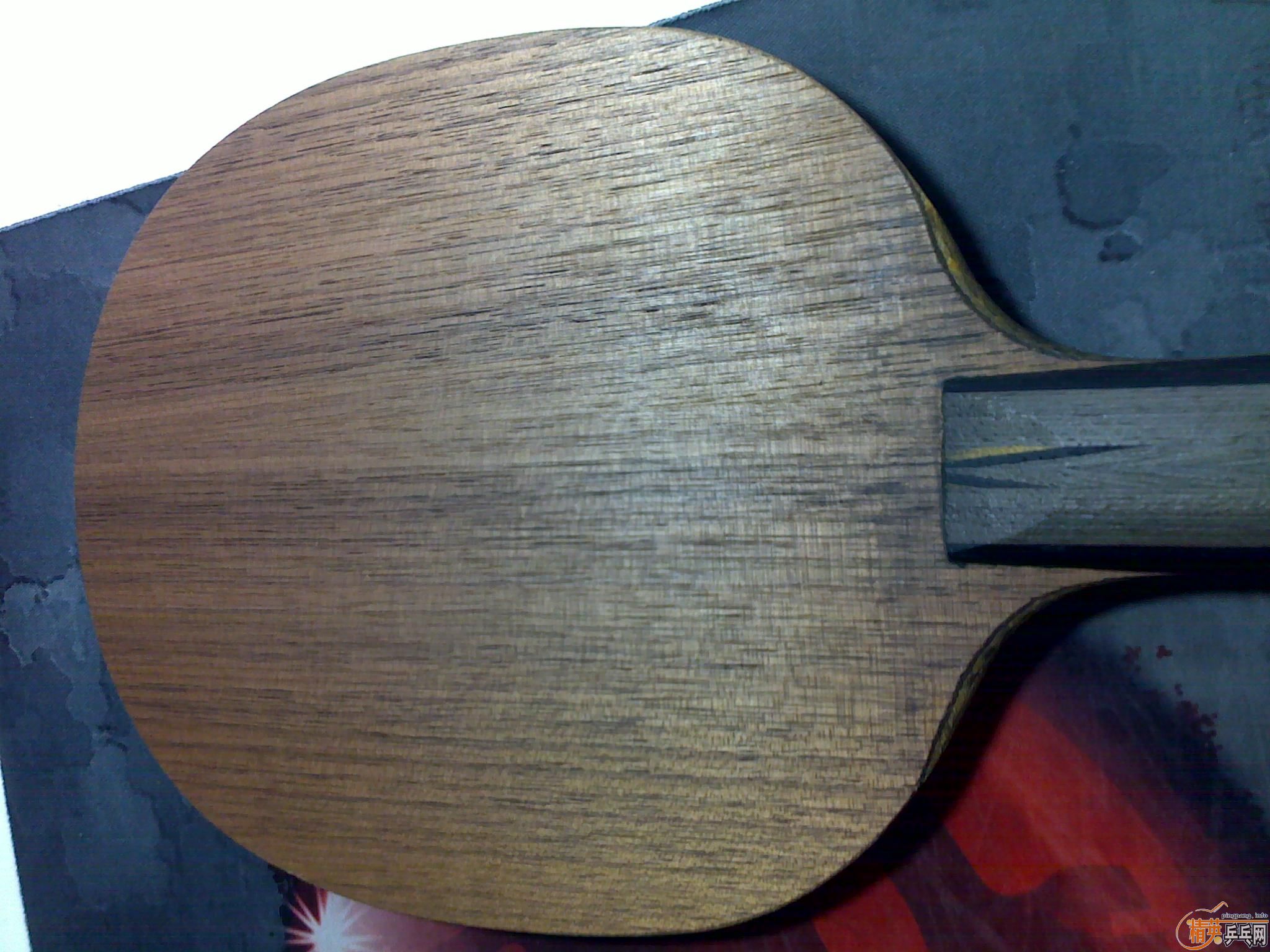 ��������YEO