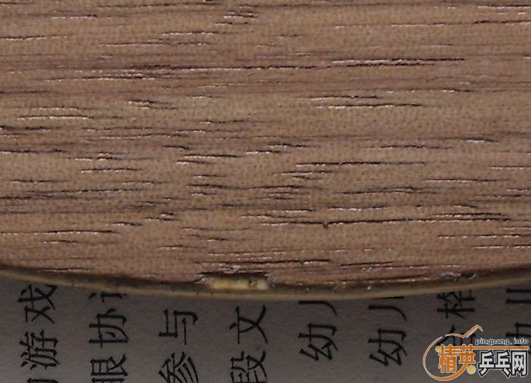 ������ѡFL��ǡ��210����