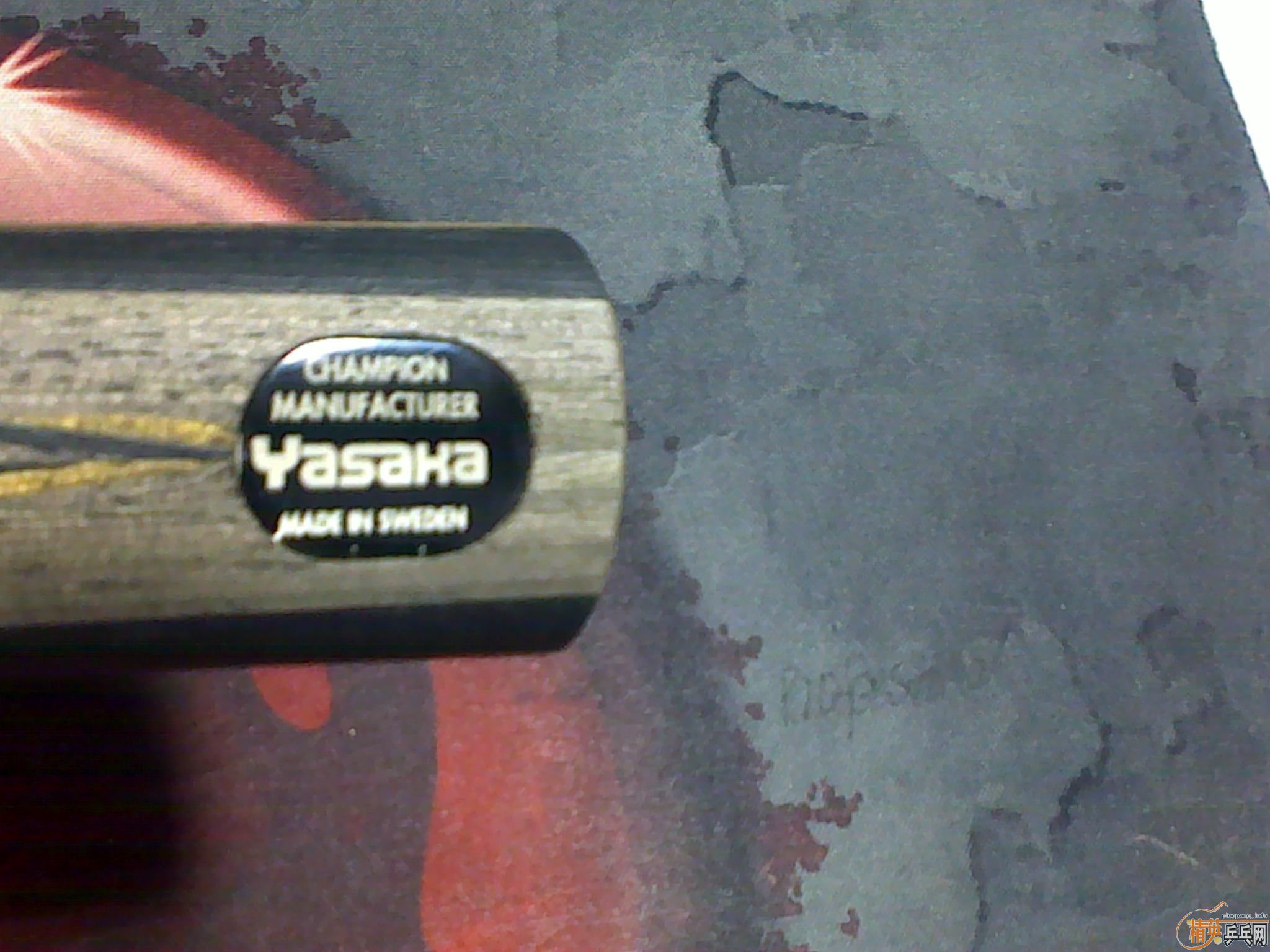 ��������YEO