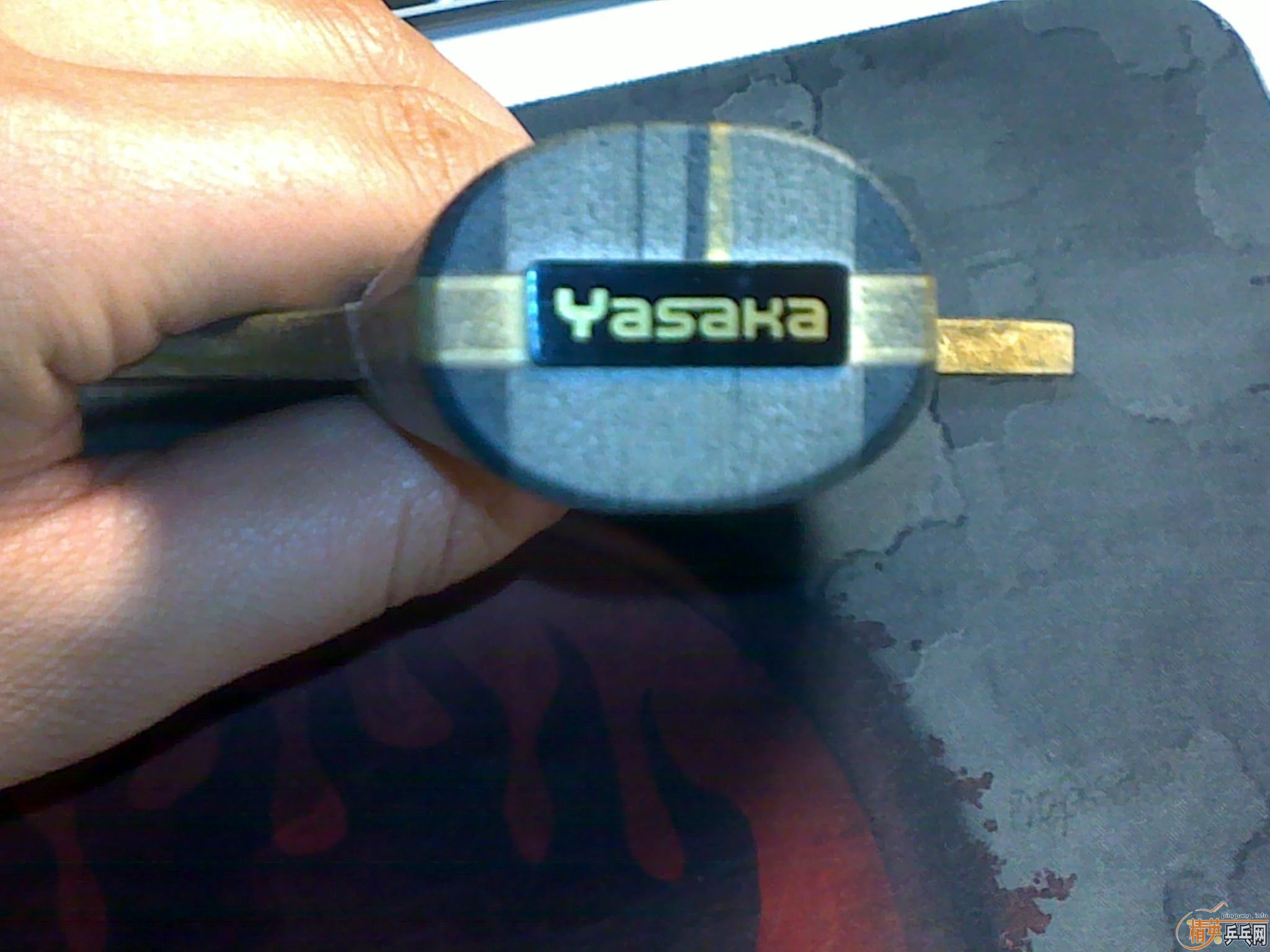 ��������YEO