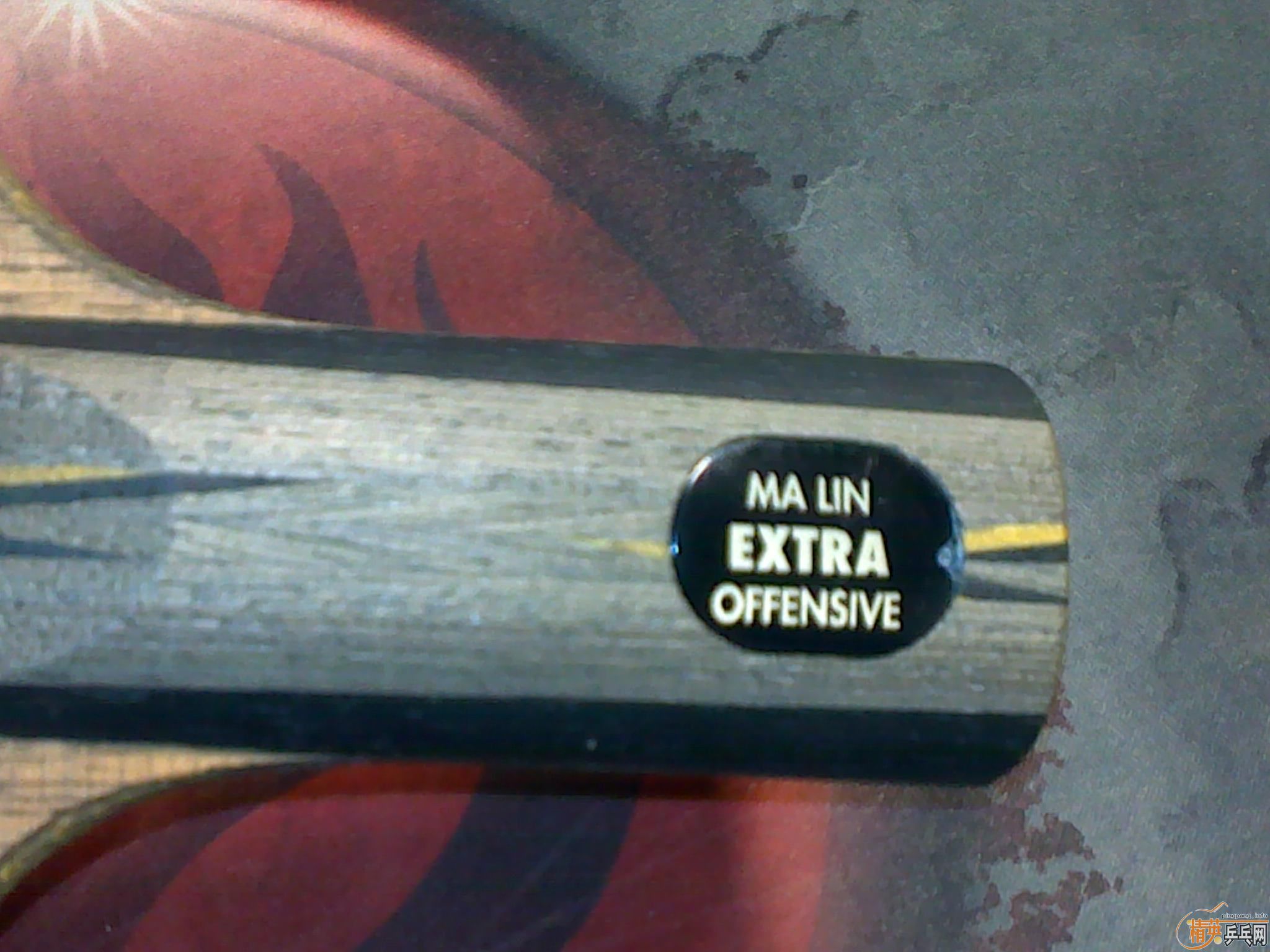 ��������YEO