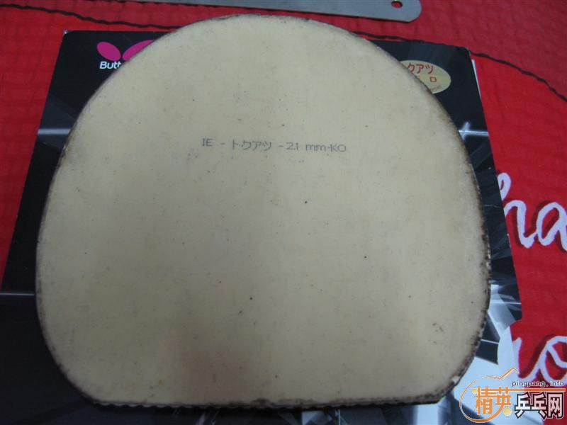 ��Bryce��T05