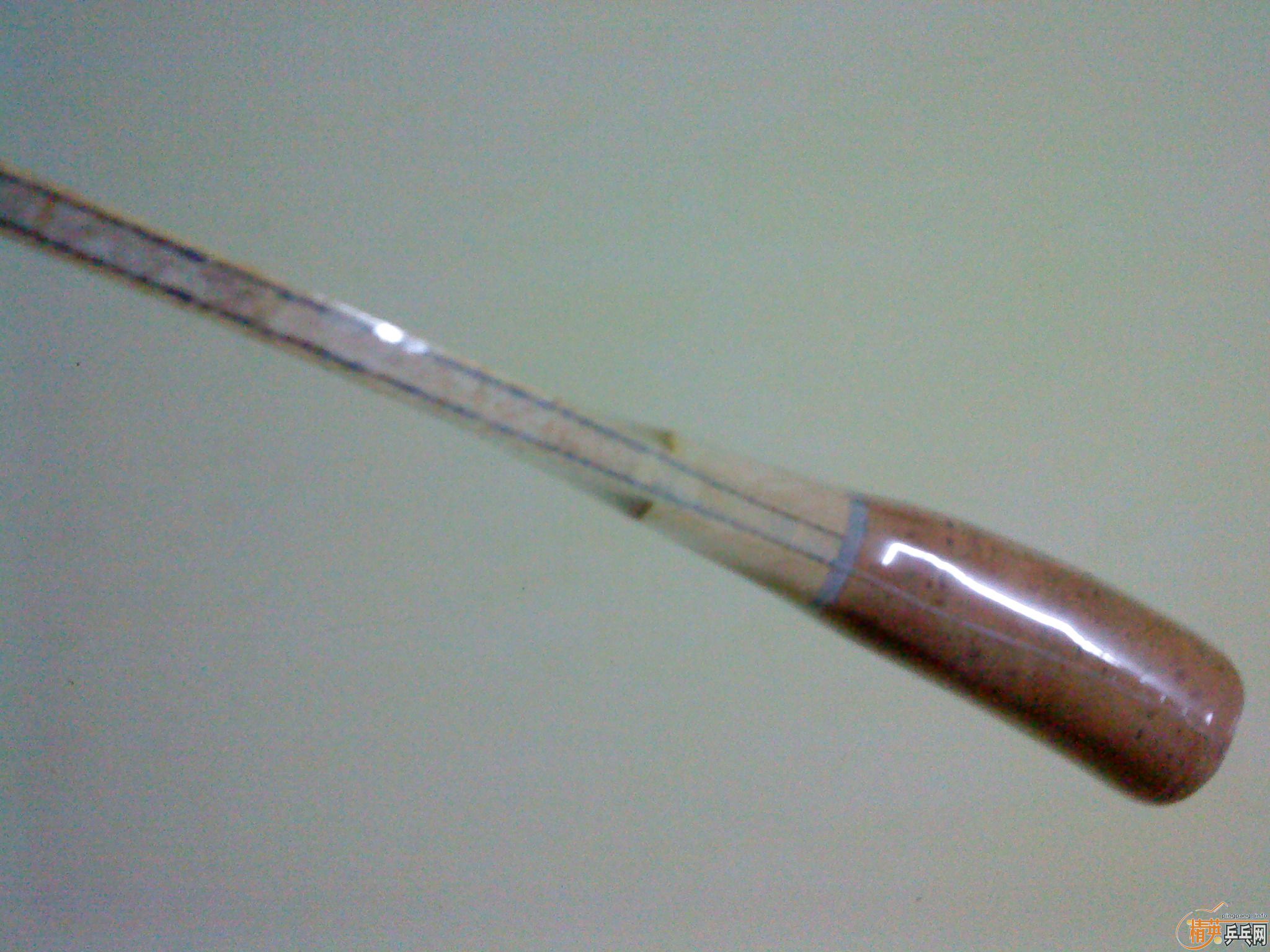 ��������幤��ѧ�ձ��װ塣�ų���300Ԫ