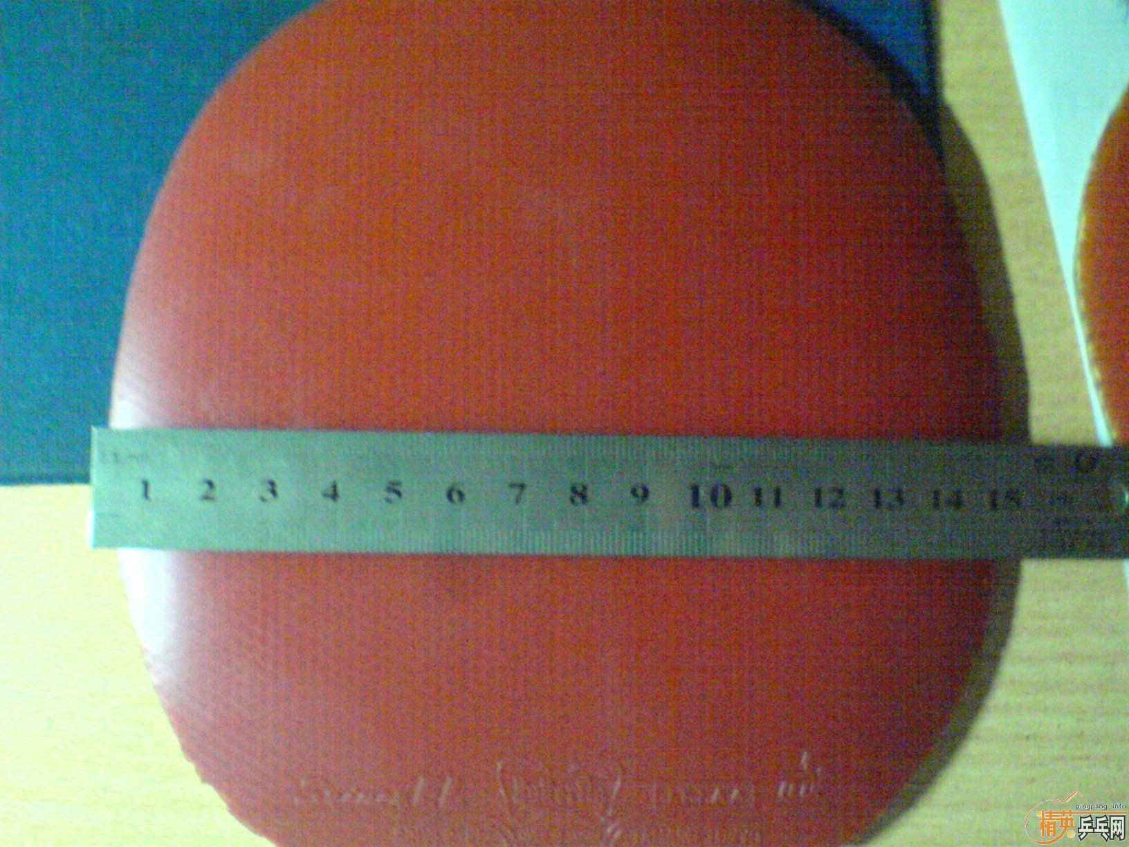 EL+FX=���˼ۣ�������